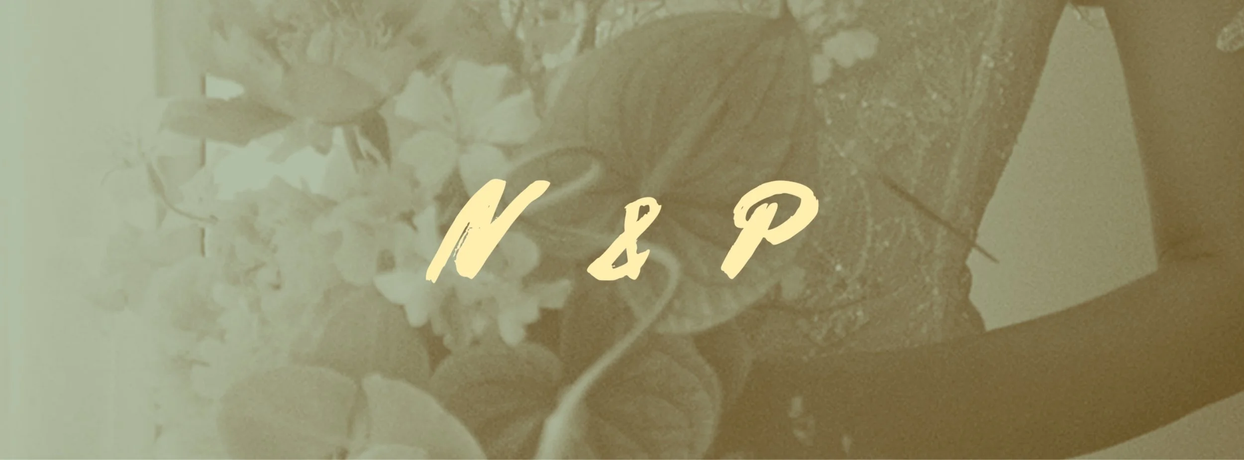 Copy of N & T (24).jpg