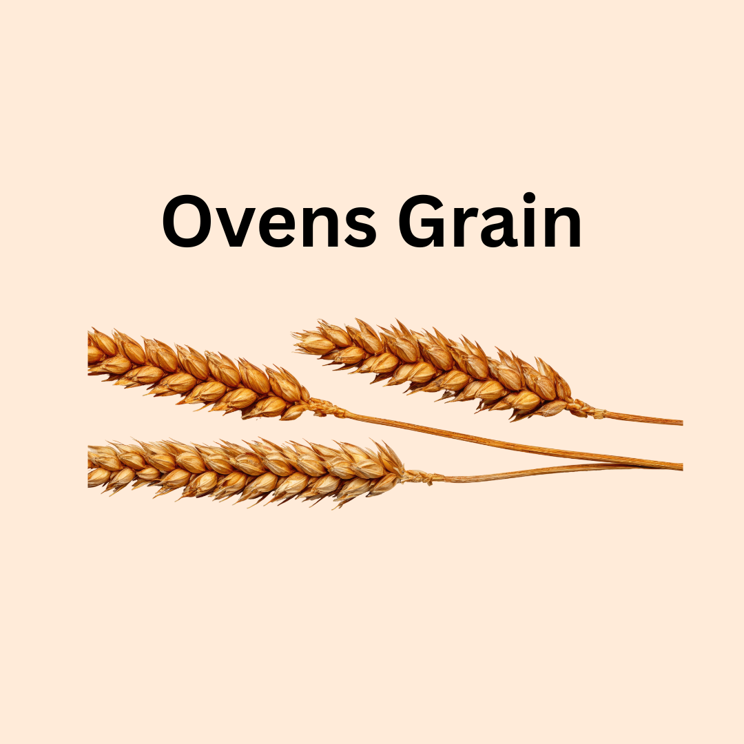 Gradient Pastel We Are In Great Collaboration - Instagram Post.png