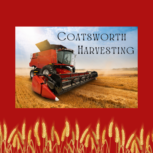 wardiere inc. (4).pdf.png