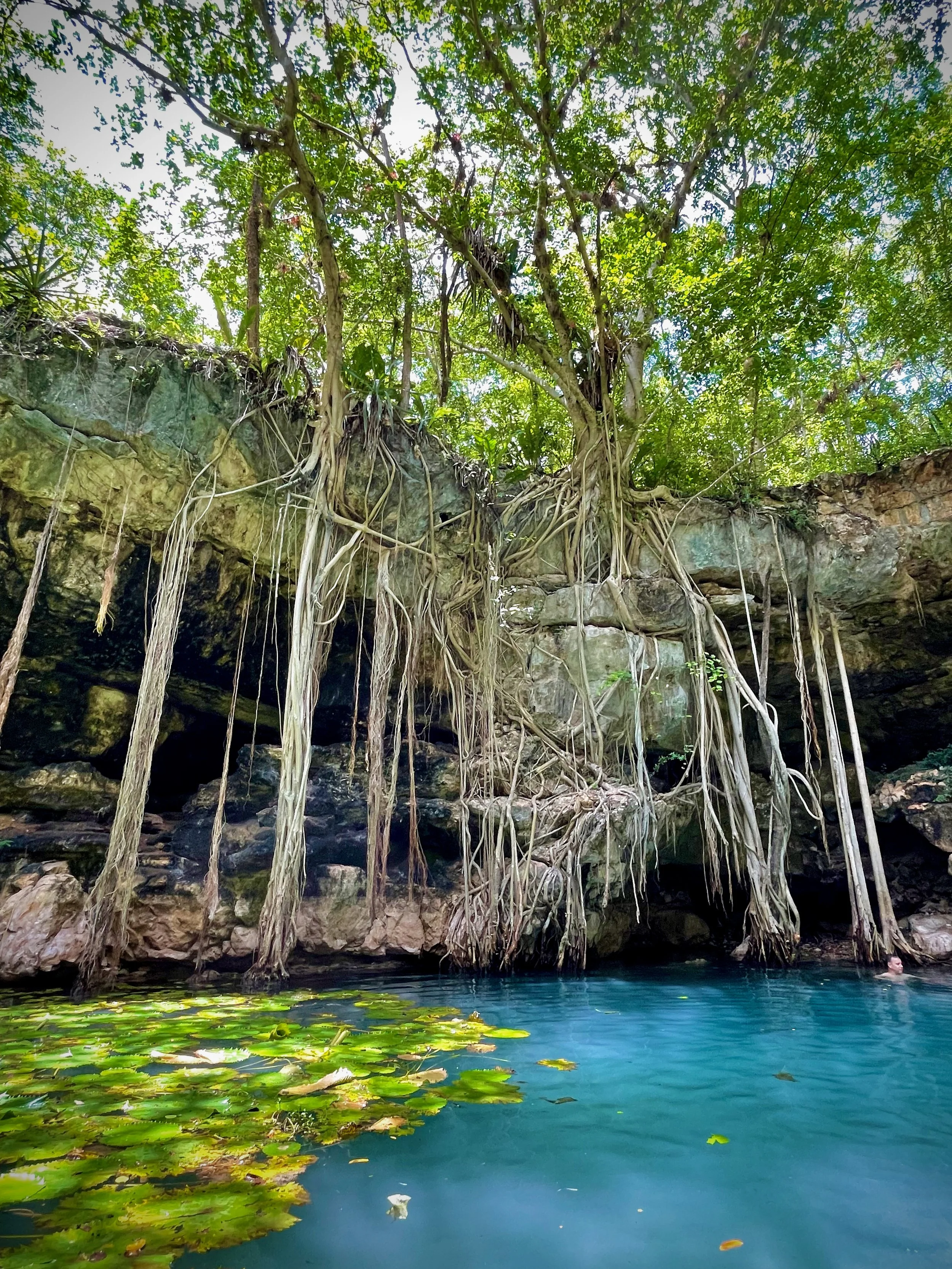 Library - 432 of 557.jpeg