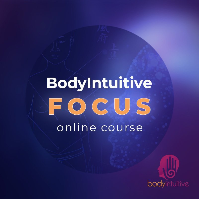 Focus Level Practitioner Training - Level 2