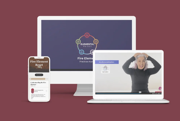 Non-Profit Reset Practitioner Online Training