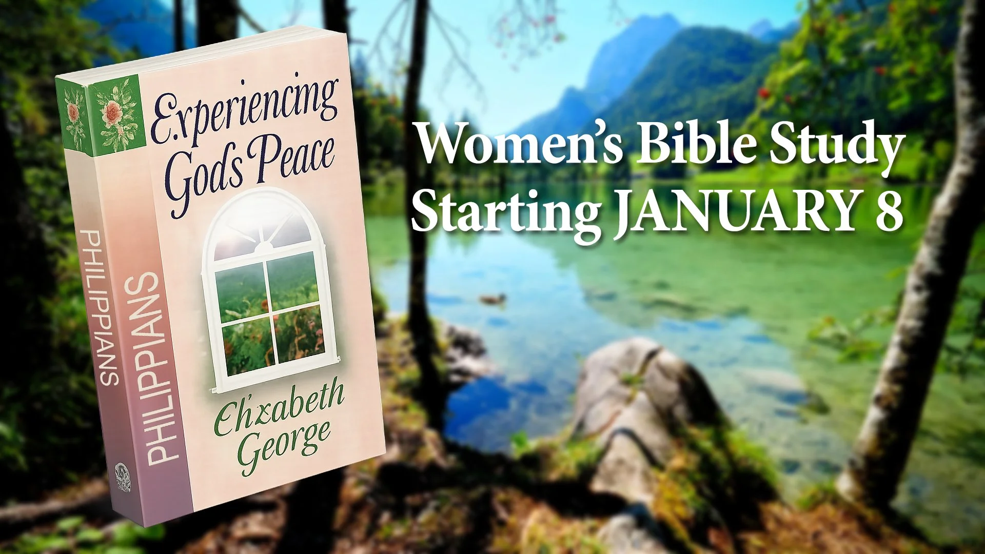 Women's Bible Study