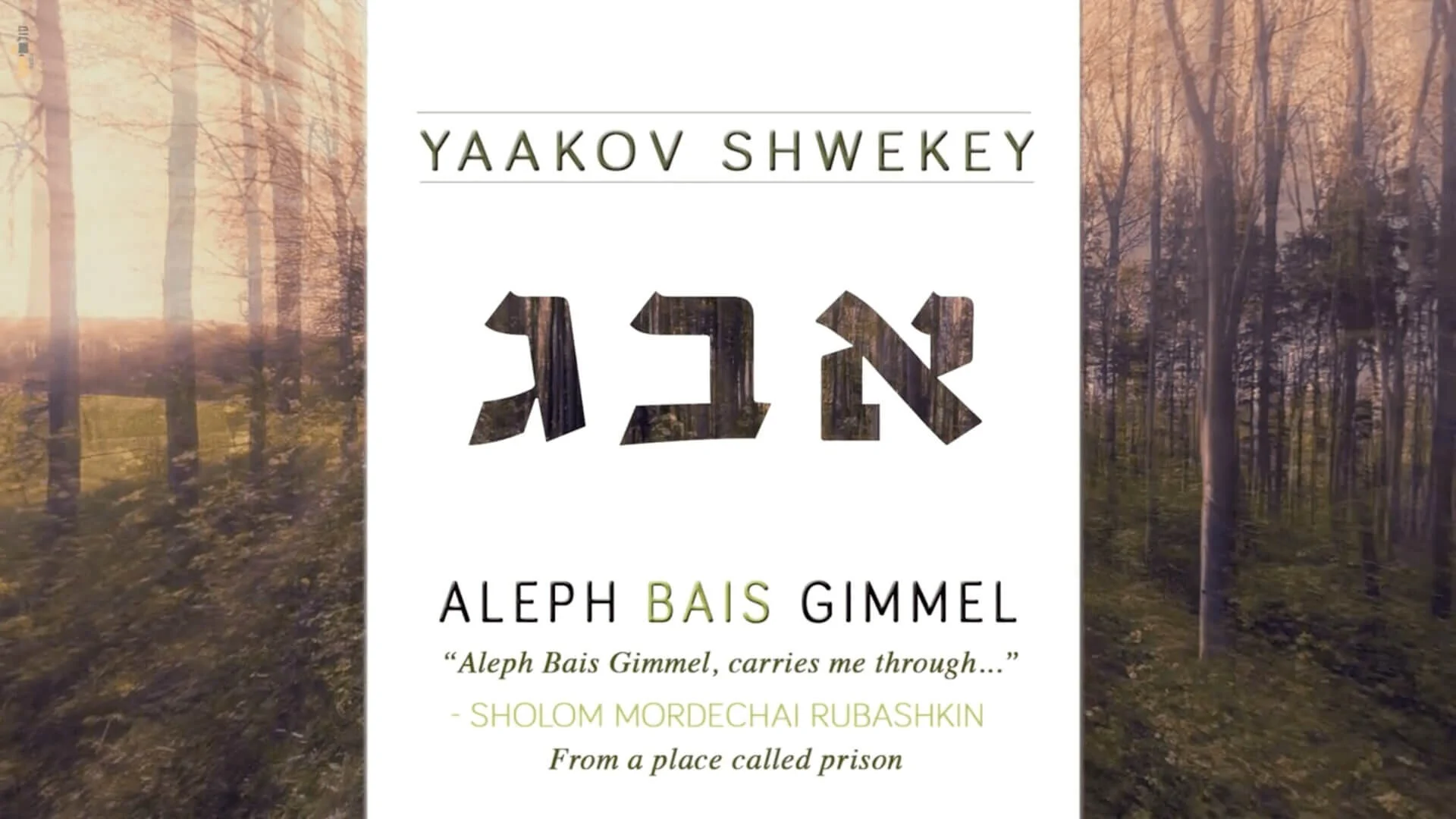 aleph bais gimel.jpg