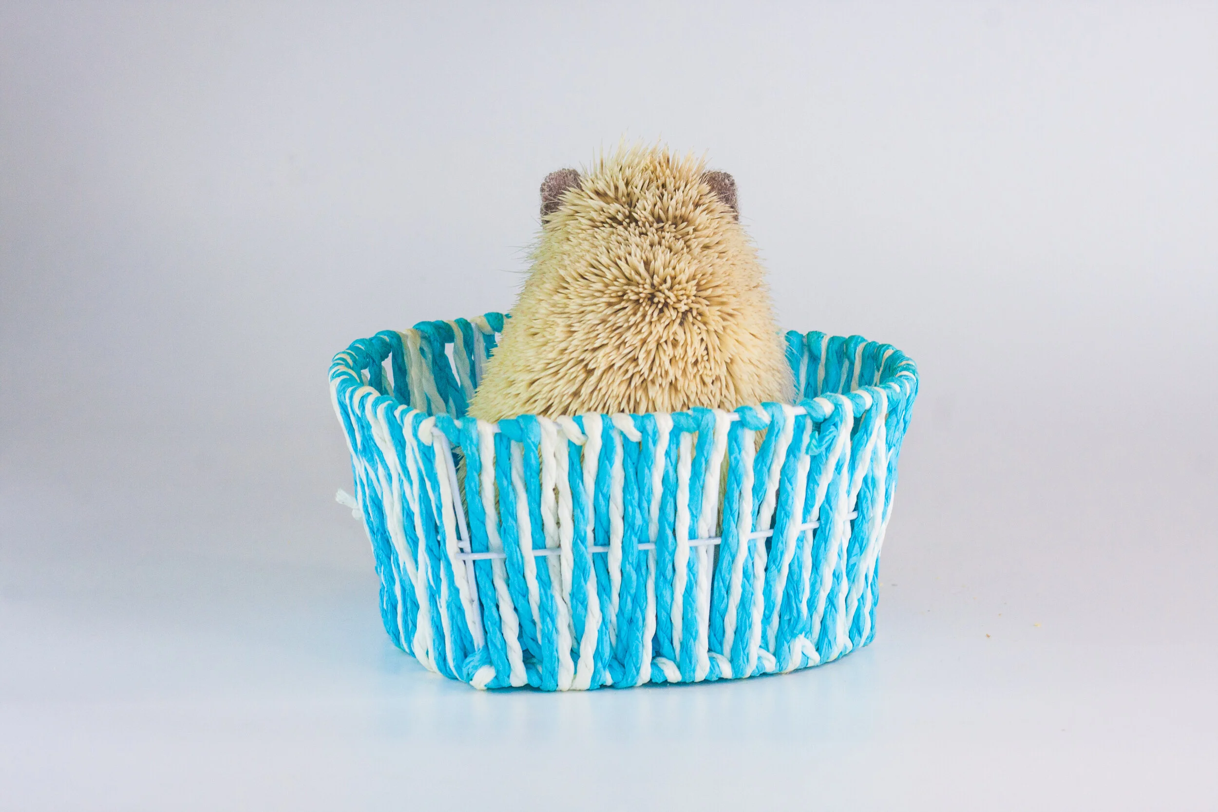 Here's how you can reduce loneliness