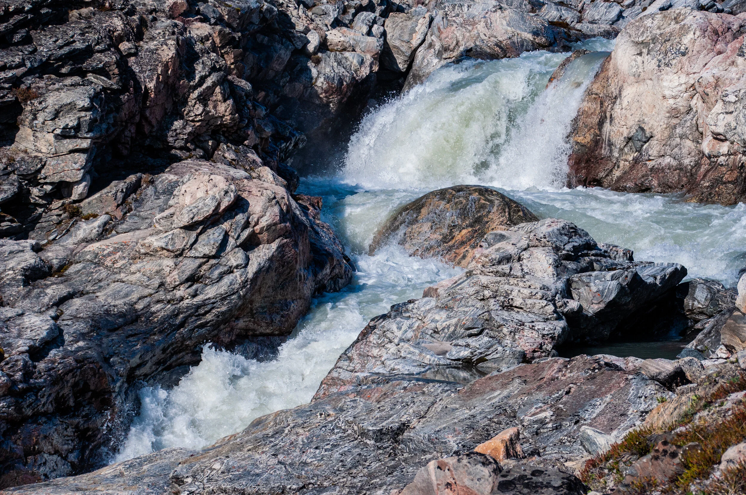 20190731_KAD_Coutts Inlet_0774.jpg