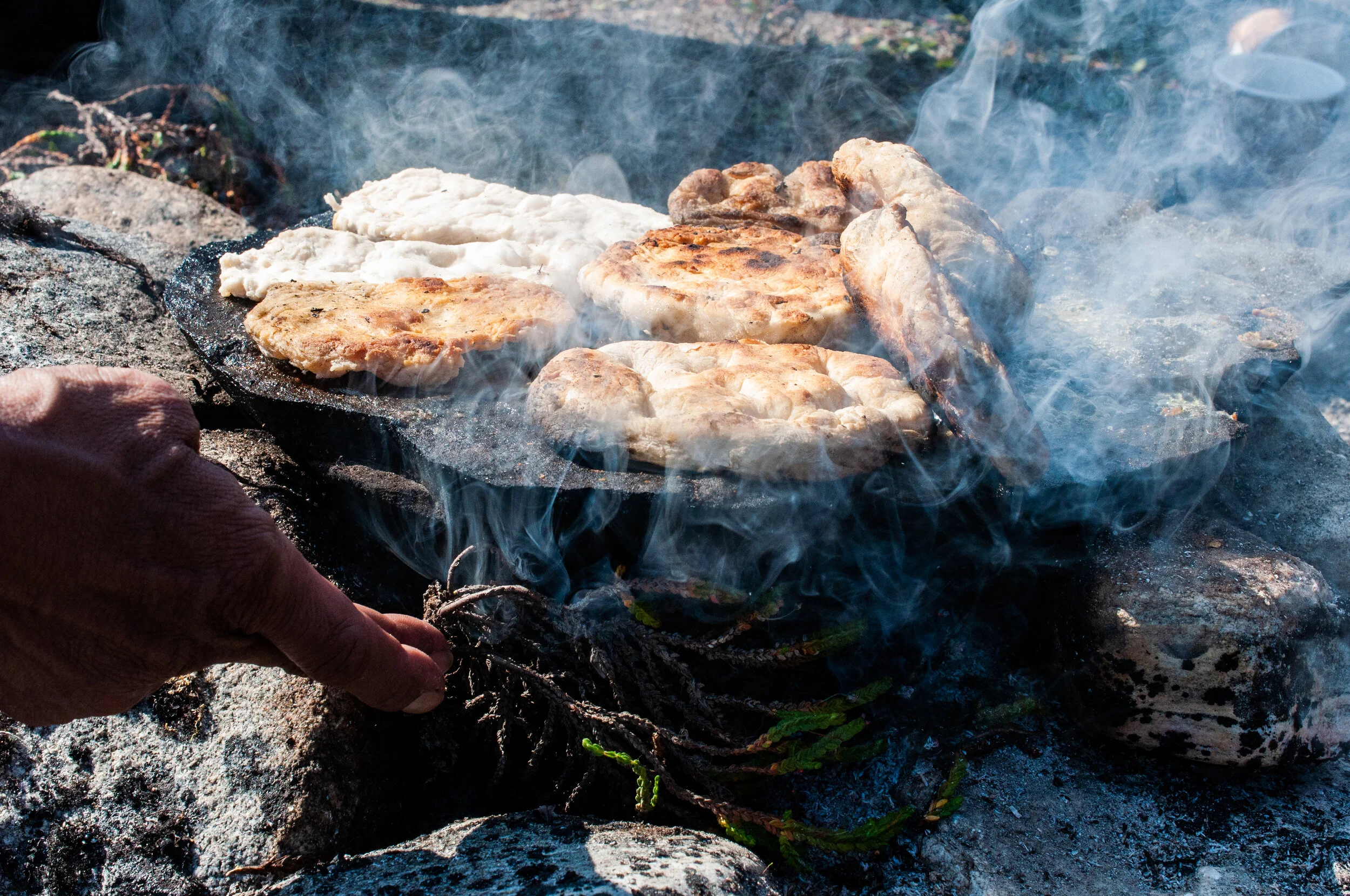20190731_KAD_Coutts Inlet_0941.jpg