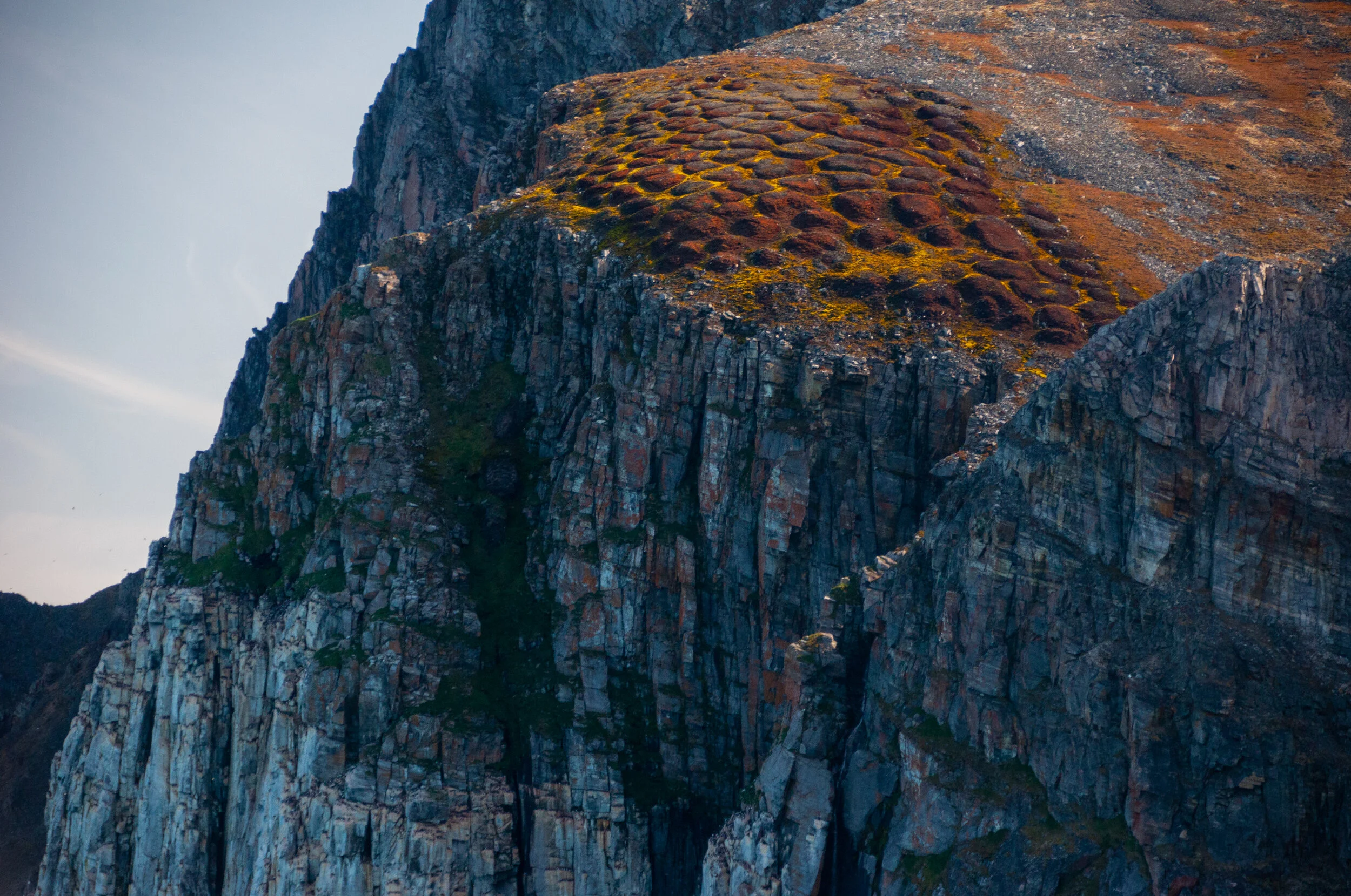 20190802_KAD_Cape Granmoore_0208.jpg