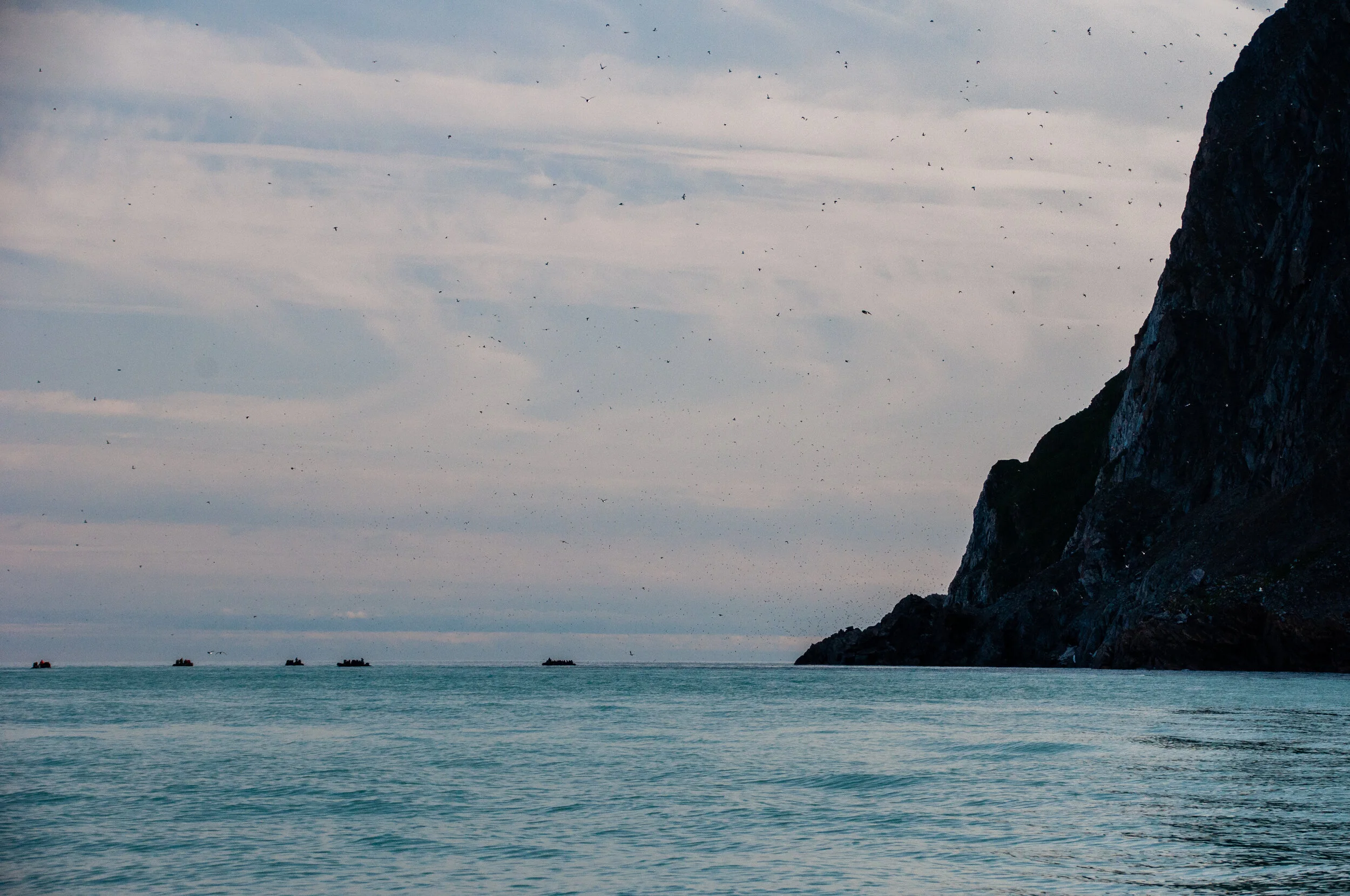 20190802_KAD_Cape Granmoore_0215.jpg