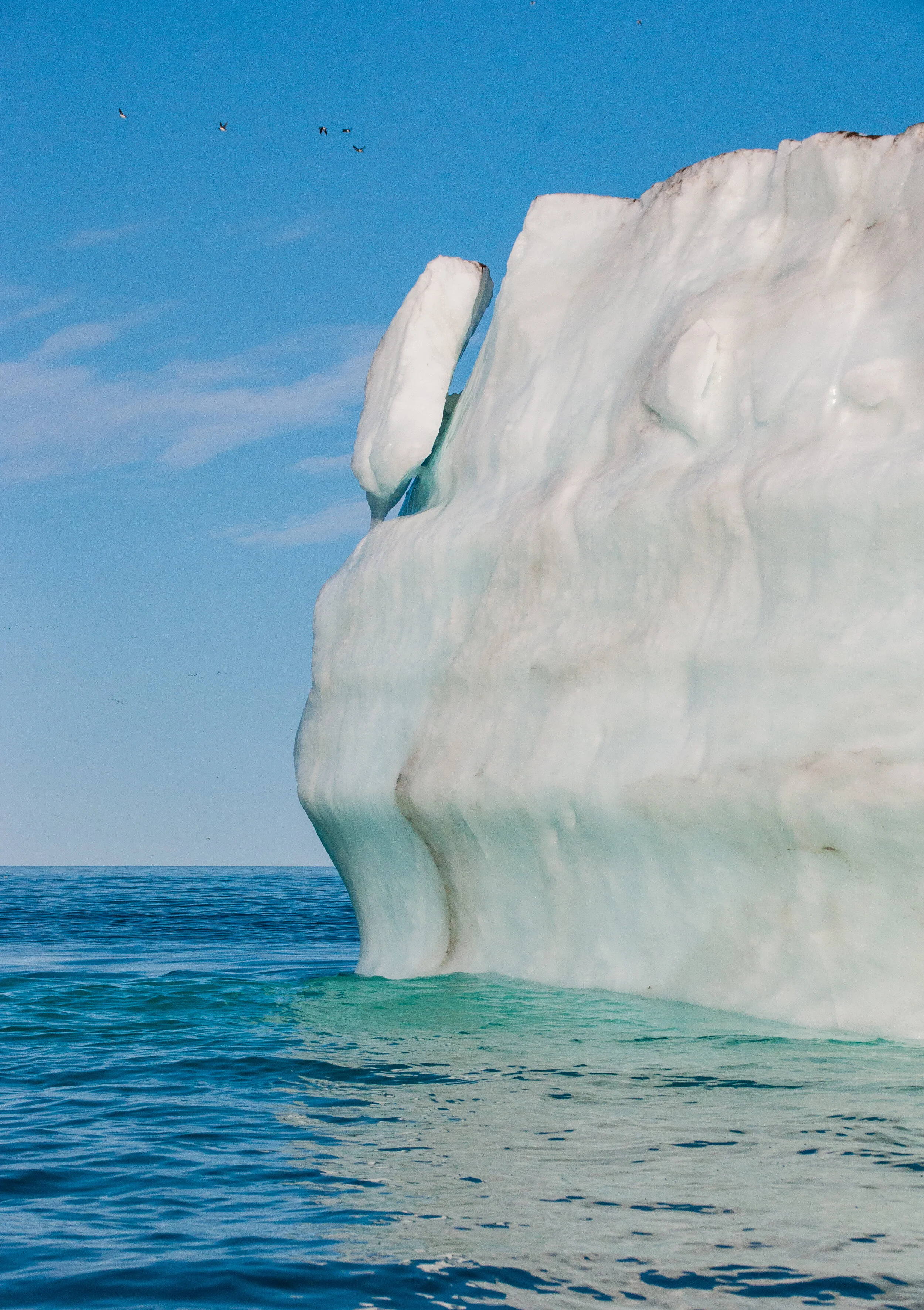 20190802_KAD_Cape Granmoore_0378.jpg