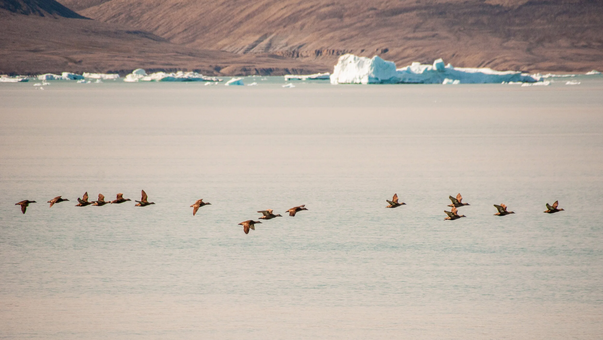 20190803_KAD_Crooker Bay_0647.jpg