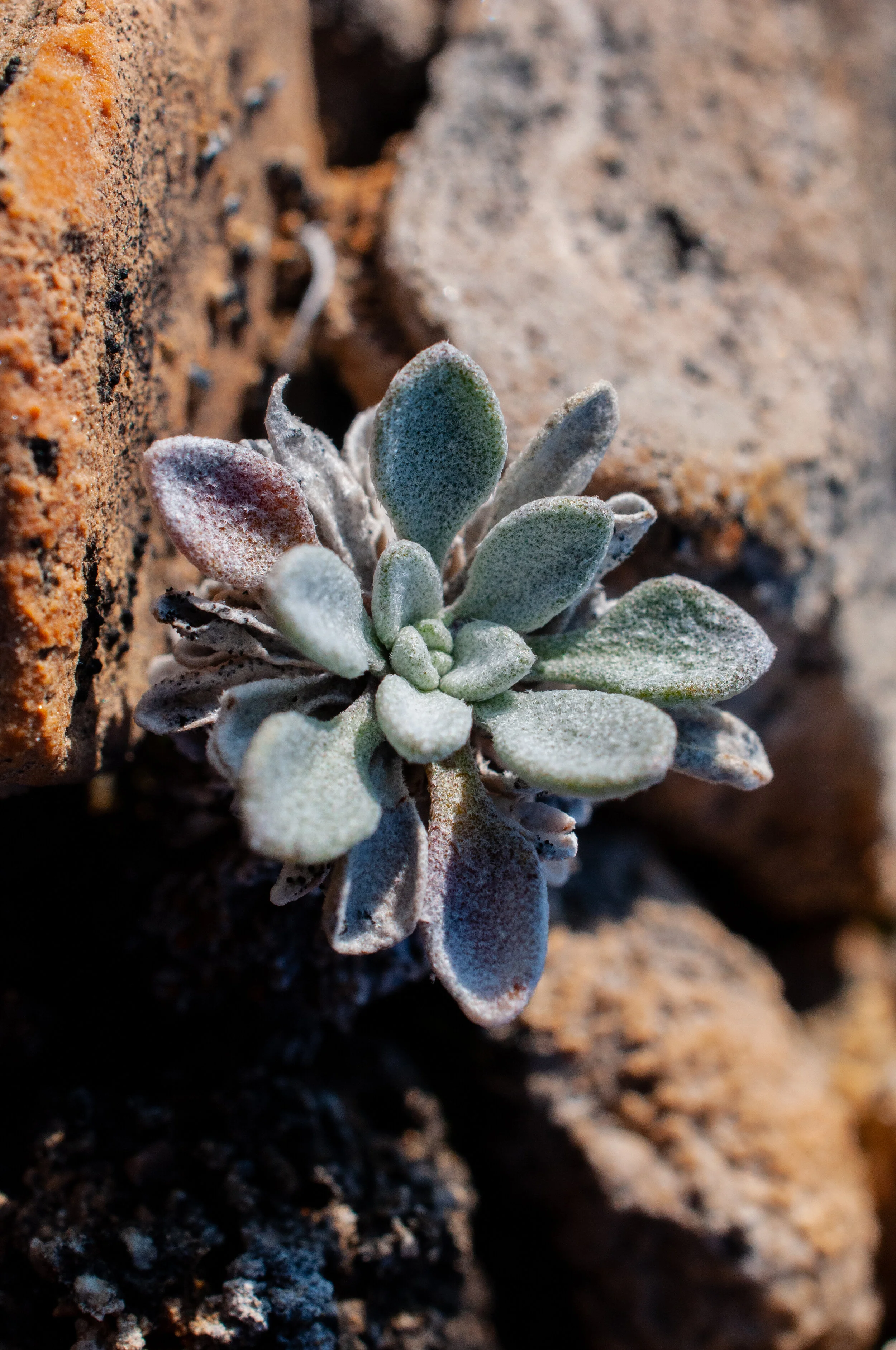 20190803_KAD_Crooker Bay_0697.jpg