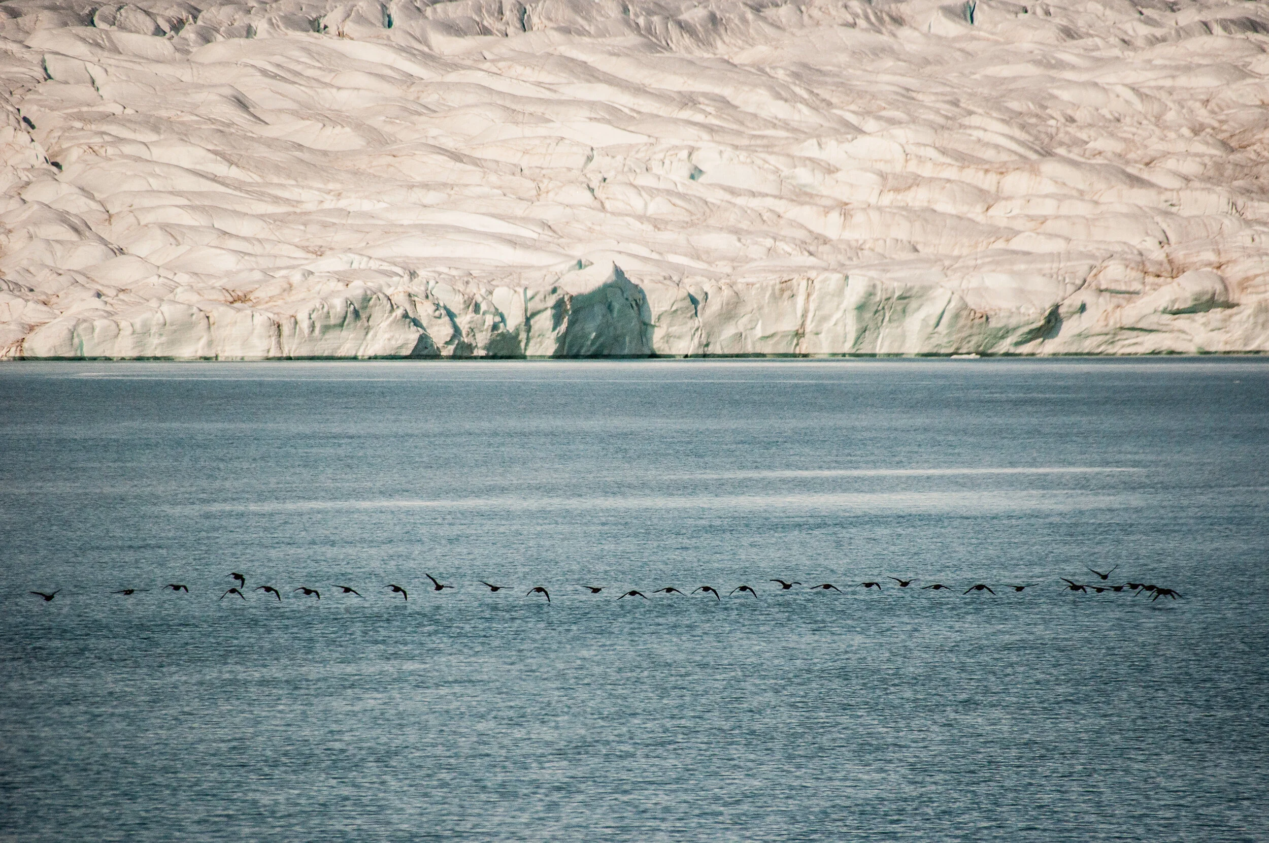 20190803_KAD_Crooker Bay_0652.jpg