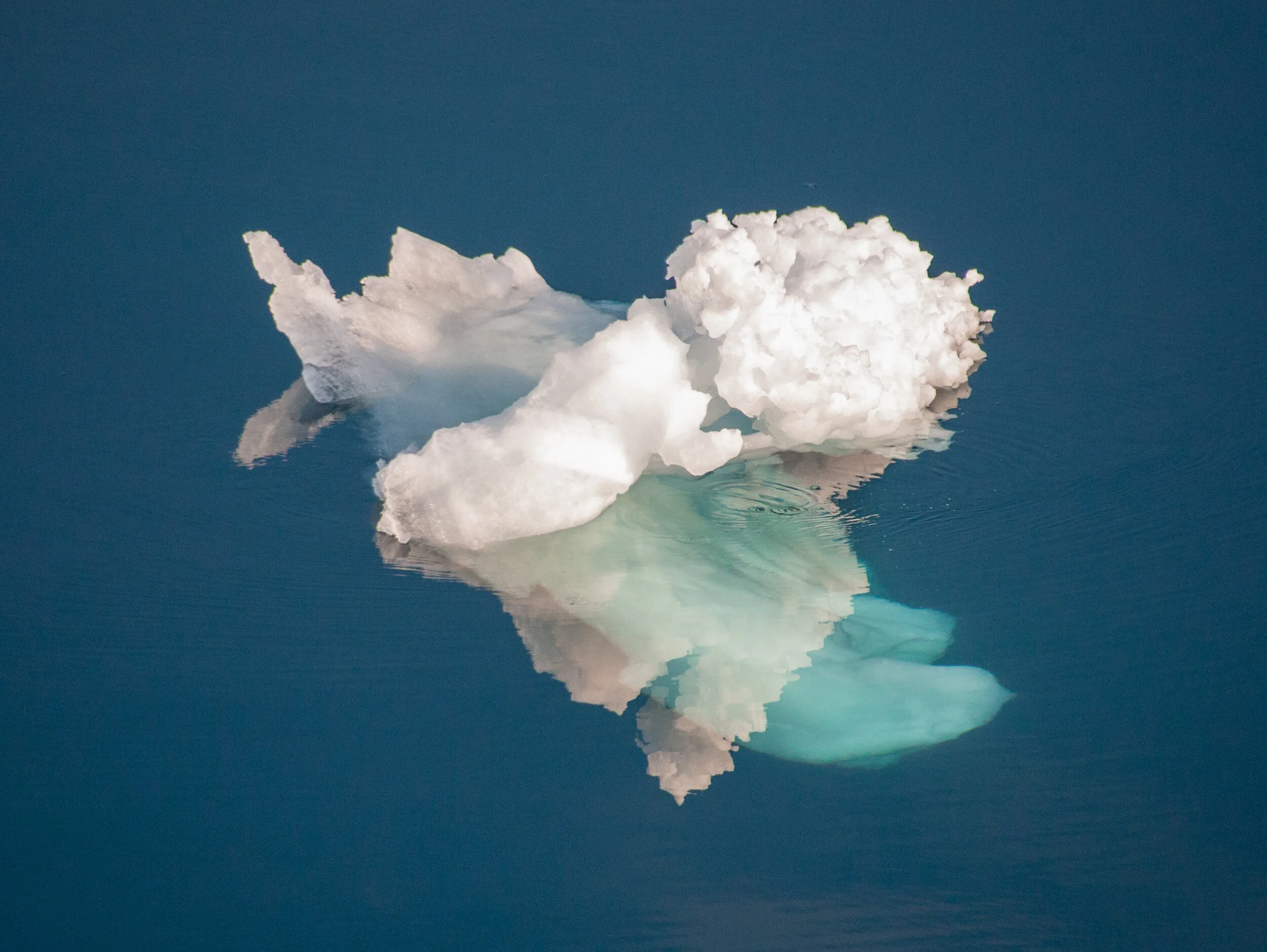 20190804_KAD_Maxwell Bay_0790.jpg