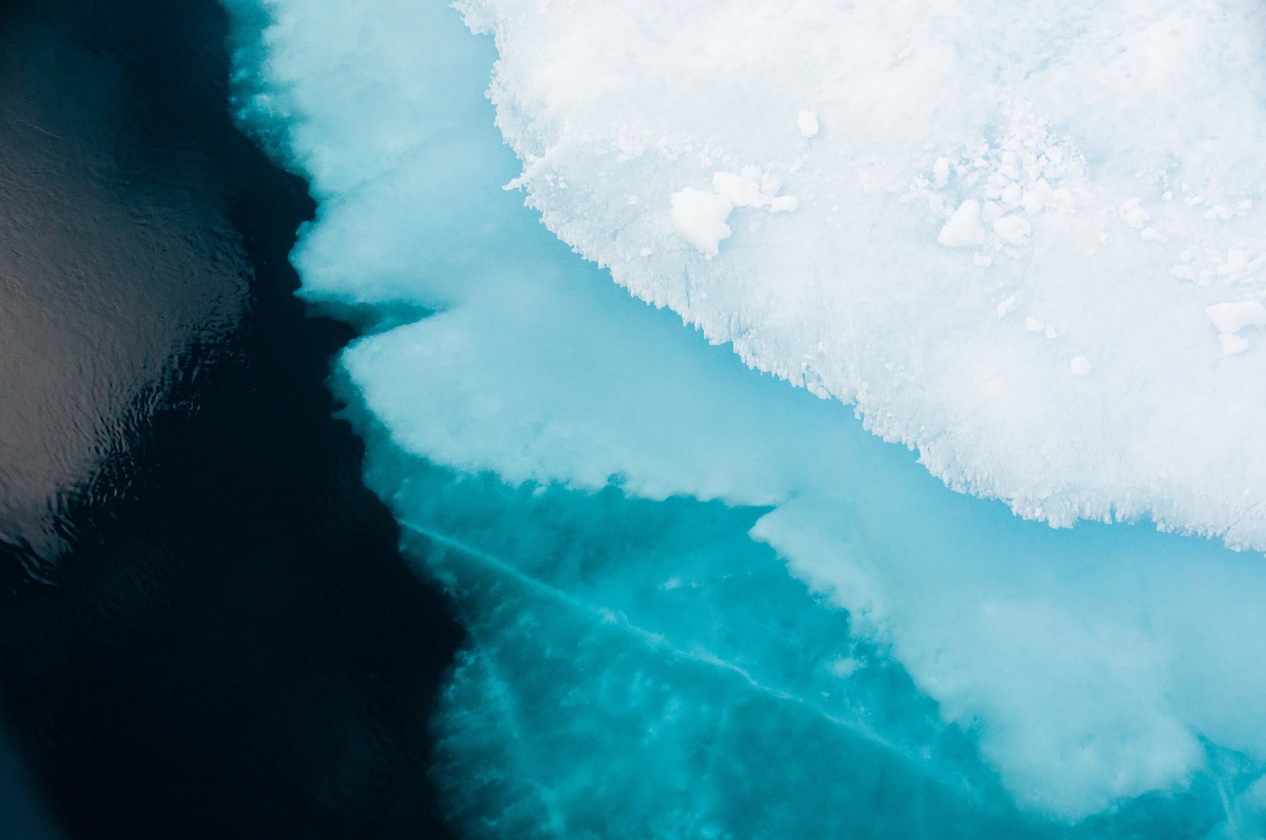 20190804_KAD_Maxwell Bay_0775.jpg