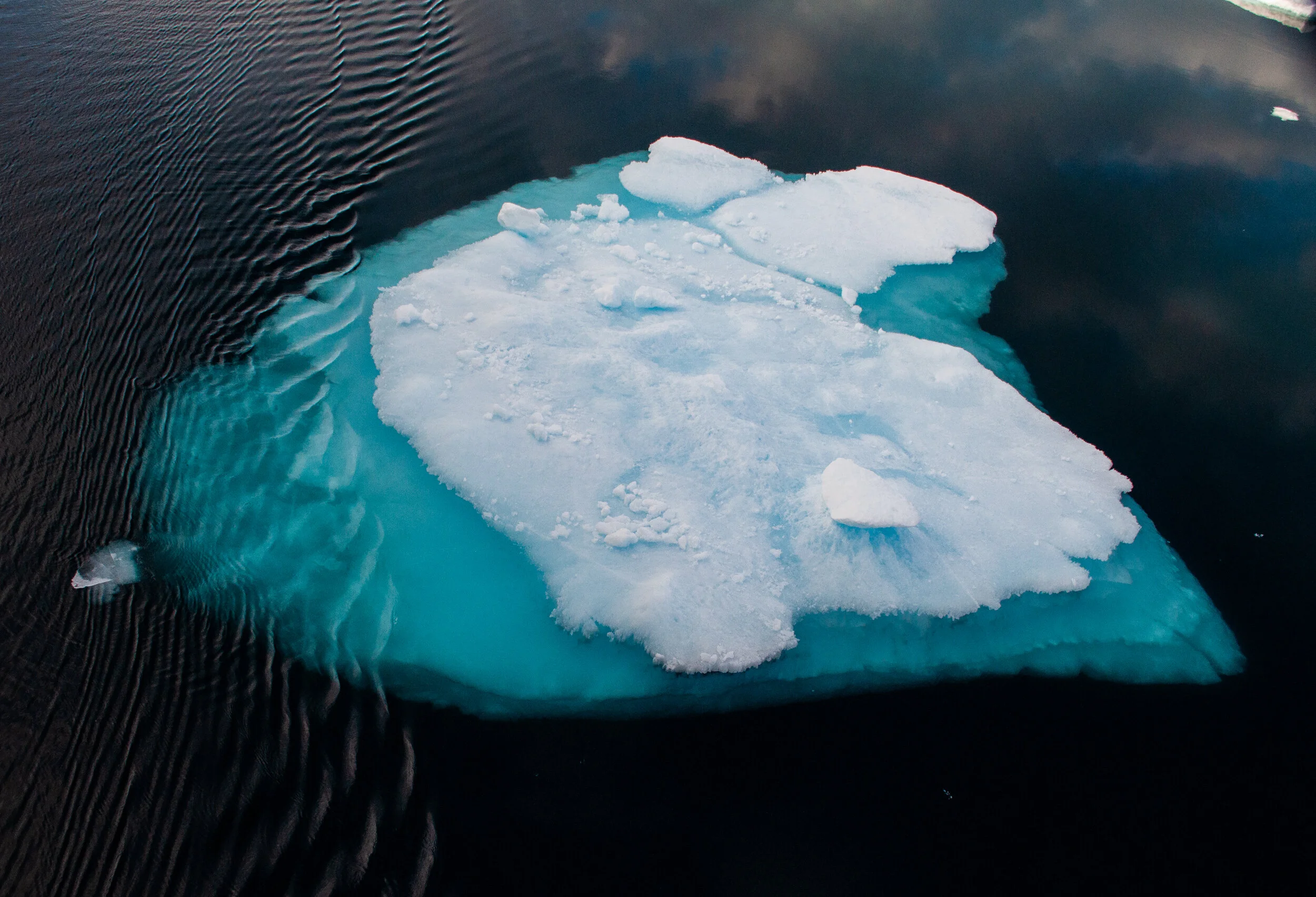 20190804_KAD_Maxwell Bay_0780.jpg