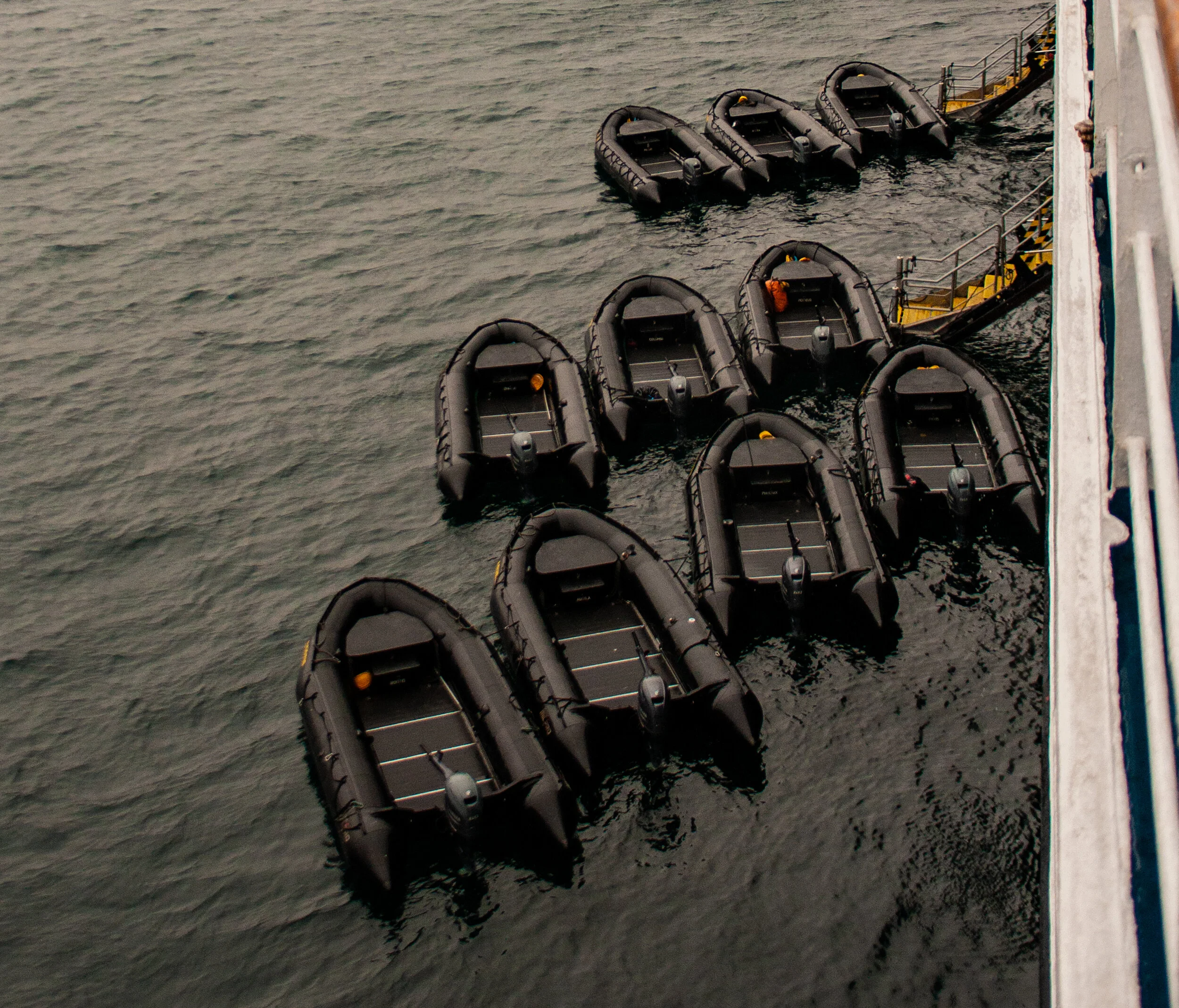 20190806_KAD_Resolute Bay_0235.jpg