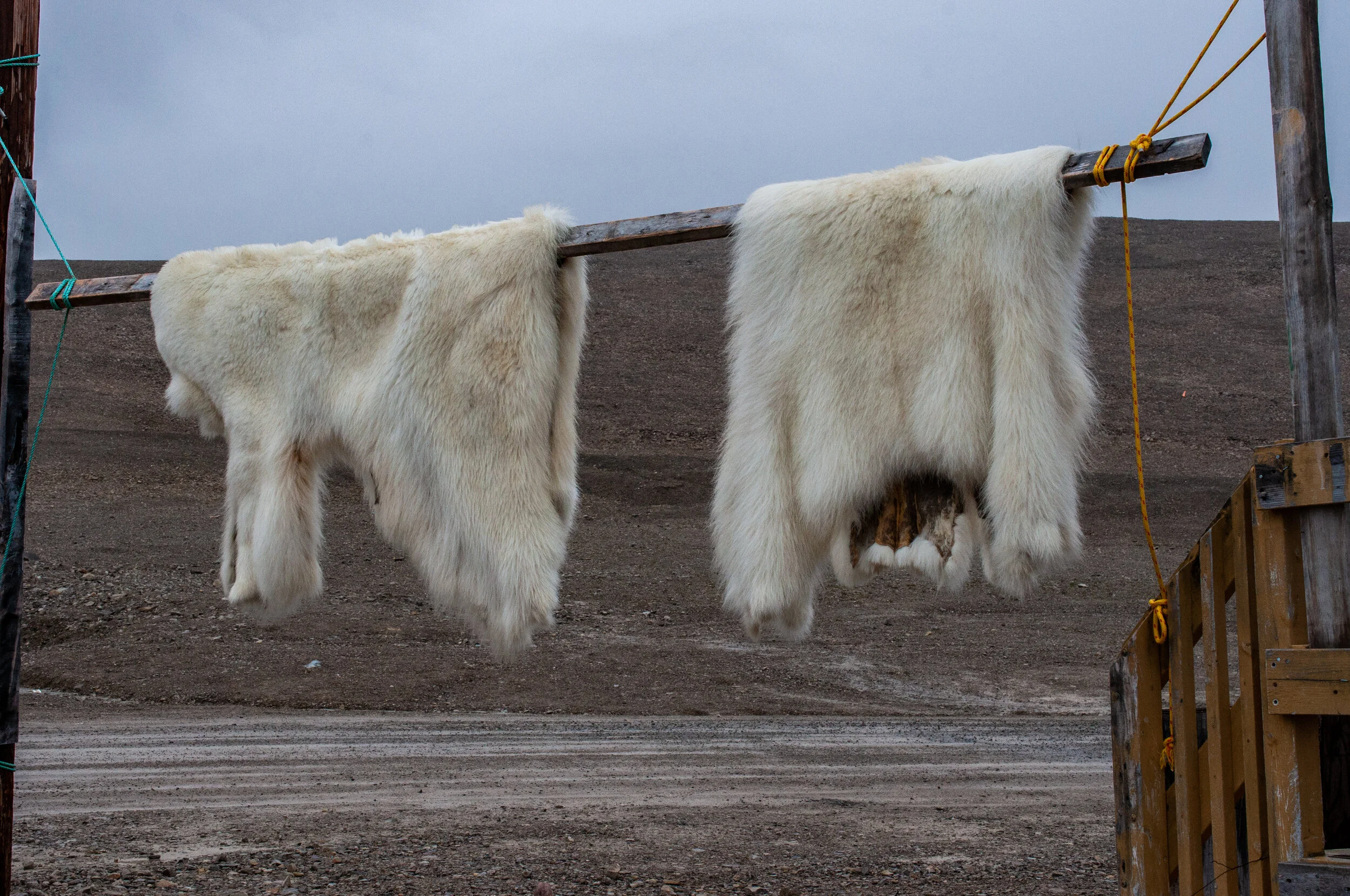 20190806_KAD_Resolute Bay_0289.jpg