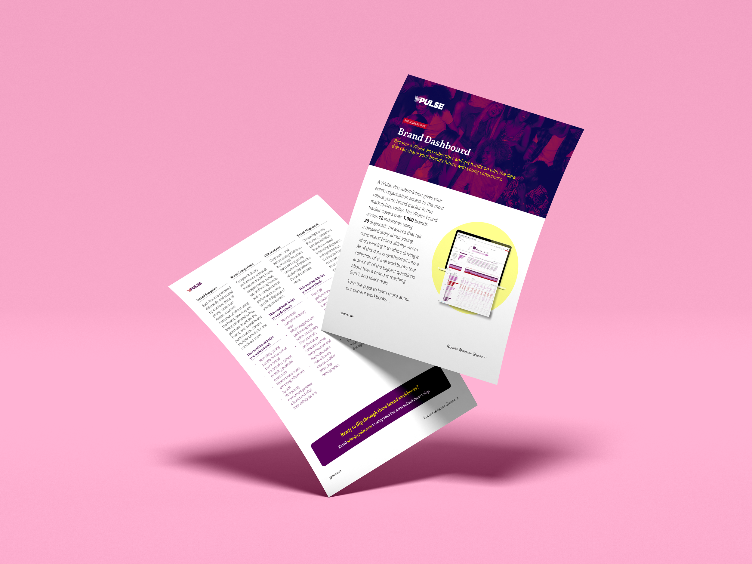 Pro Data Dashboard Sales Sheet.png
