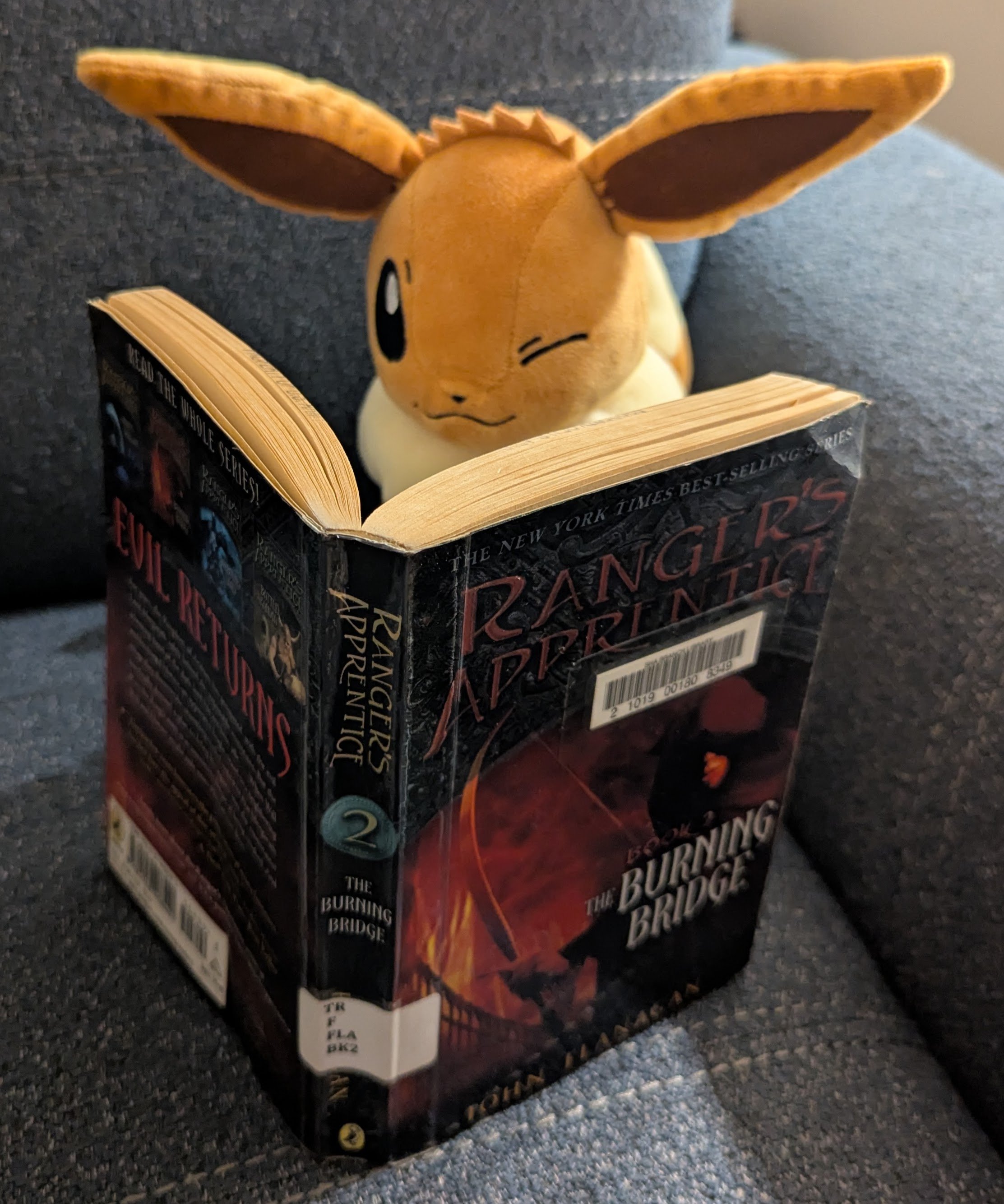 The Burning Bridge (The Ranger's Apprentice, Book 2) (Part 1 - Overview &amp; Theme)