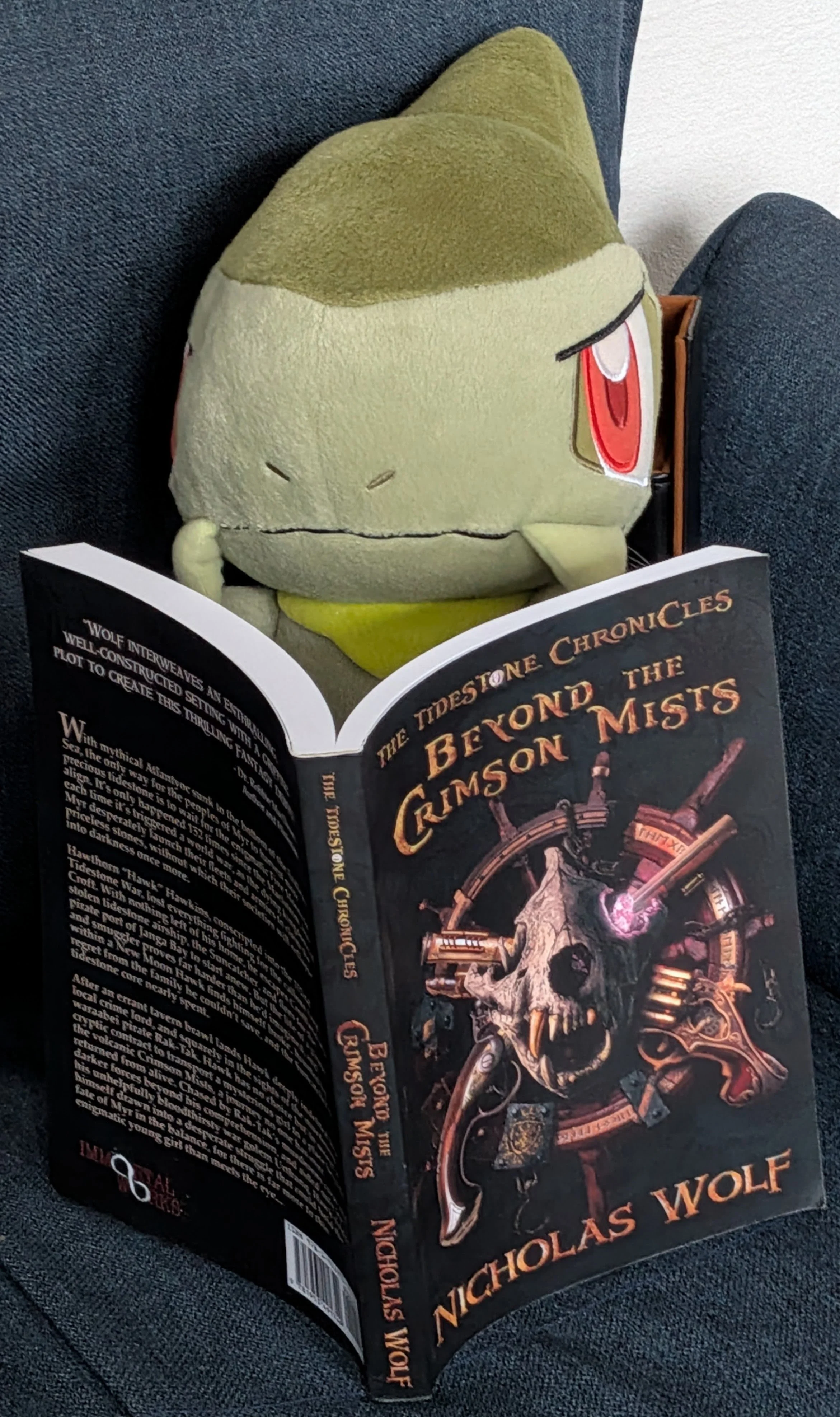 Beyond the Crimson Mists (The Tidestone Chronicles, Book 1)