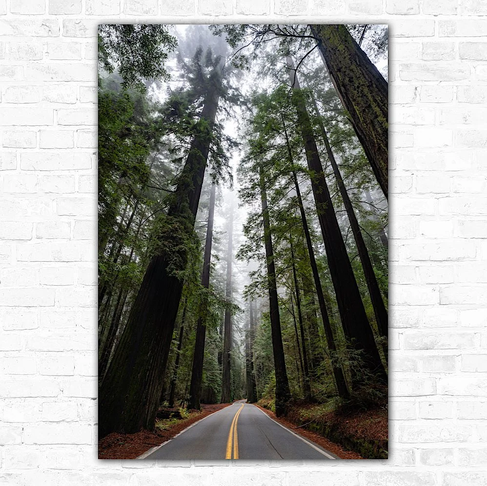 Mendocino