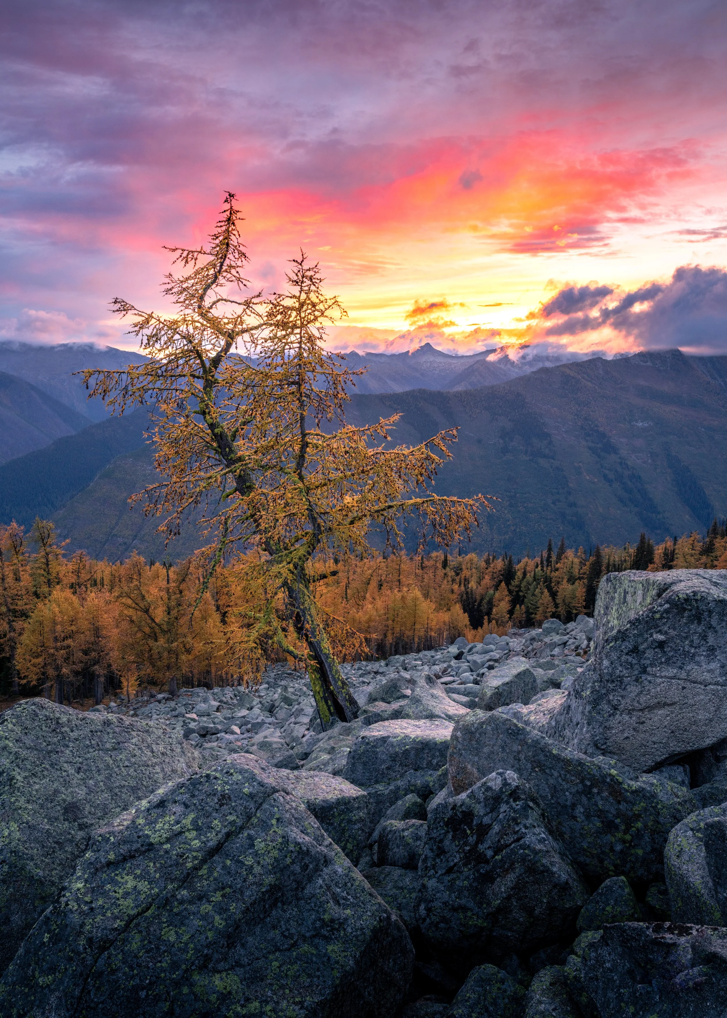 Beautiful things dont ask for attention.jpg