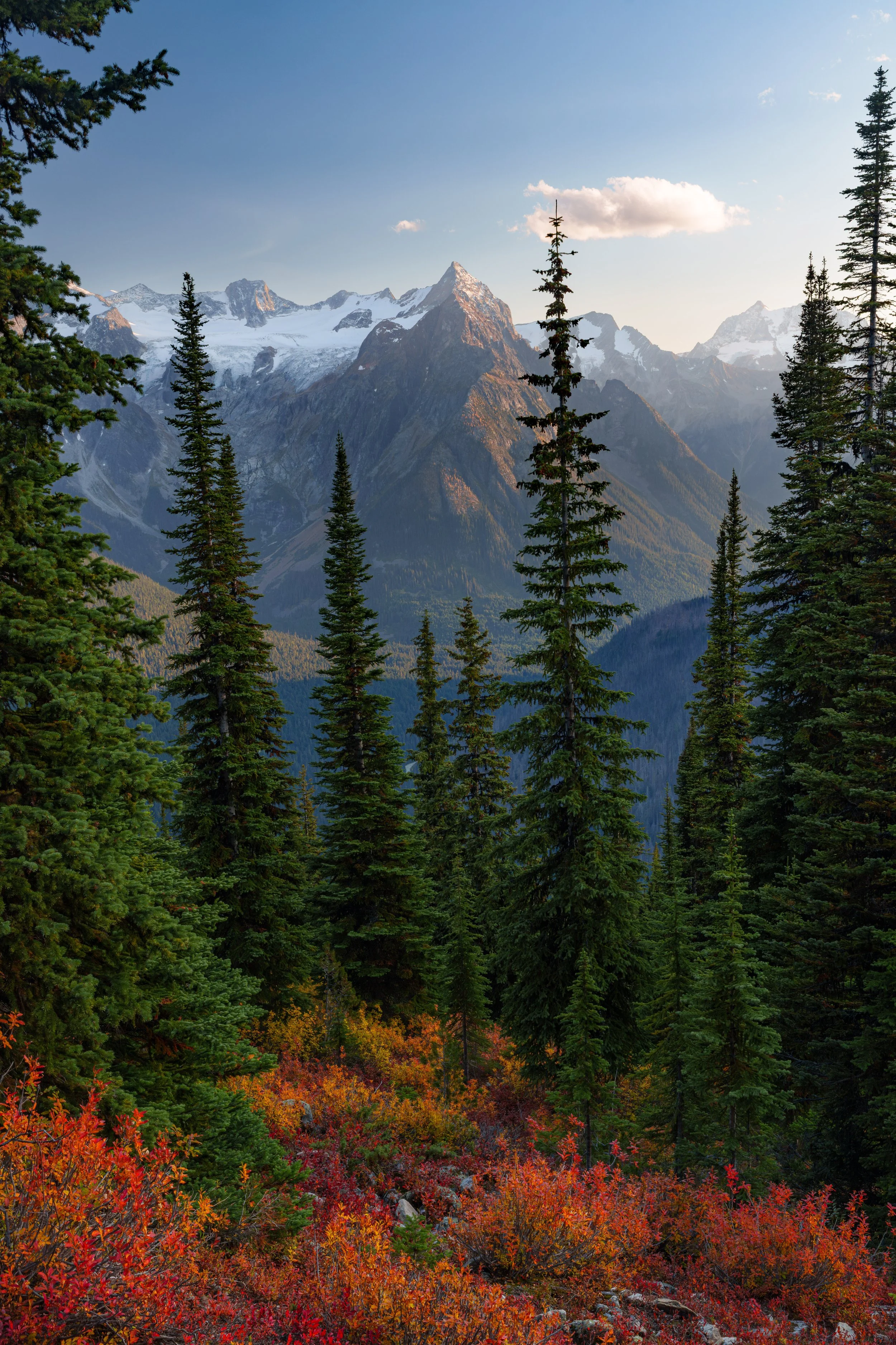 Natures color palette.jpg