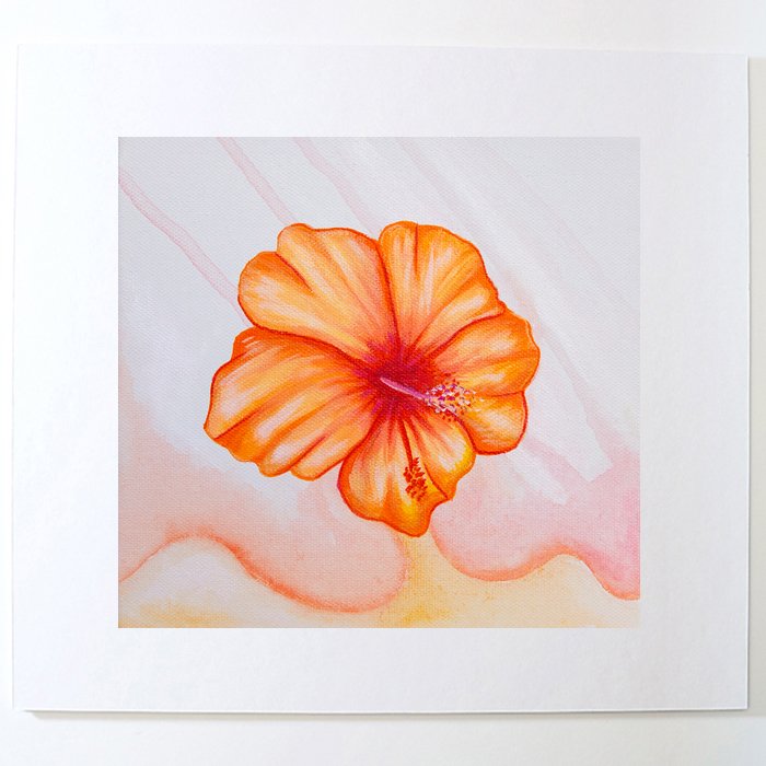 mHIBISCUS3.jpg