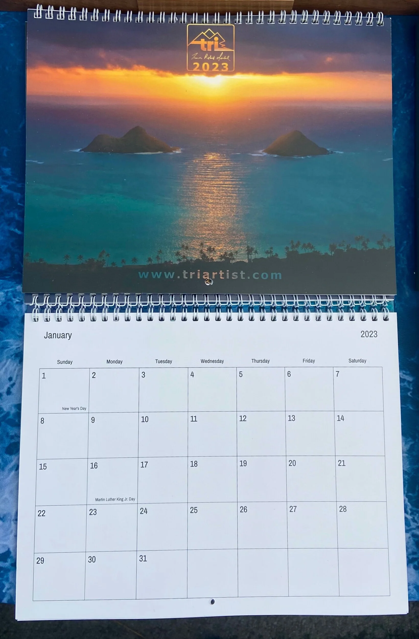 11E65DD0-853C-48B4-8AB3-39366351AC86