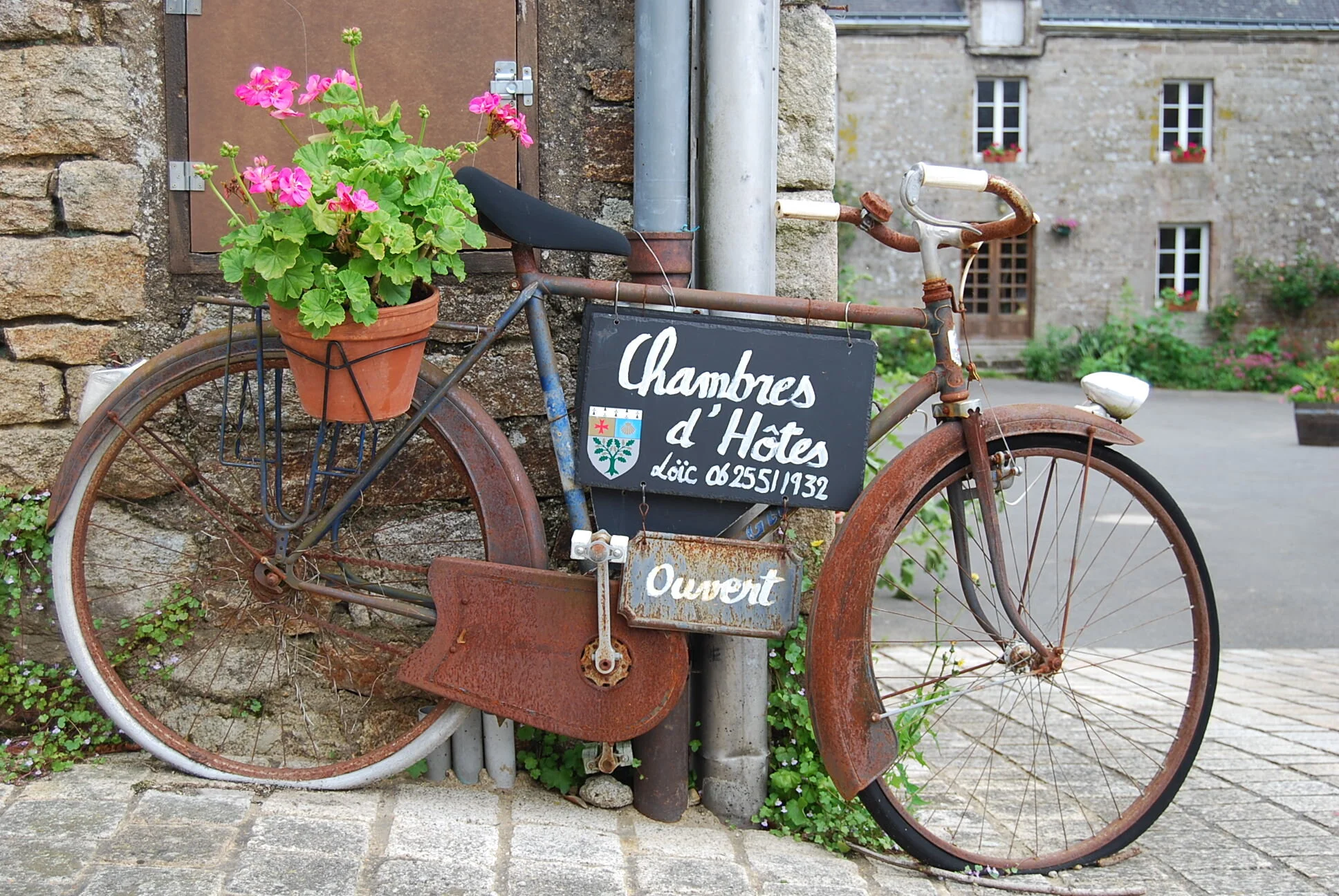 France Busse2 040.jpeg