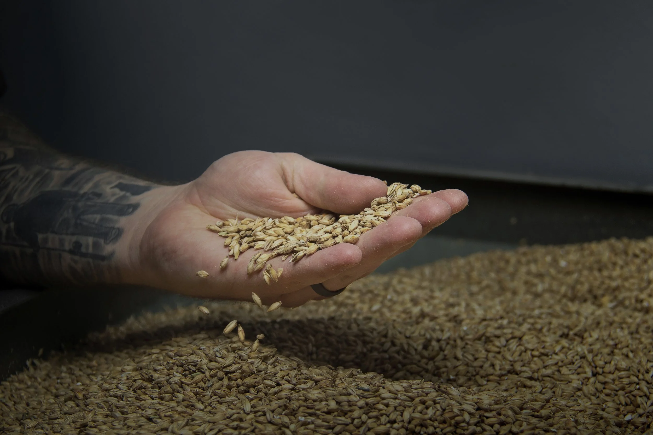 A Handful of Grain