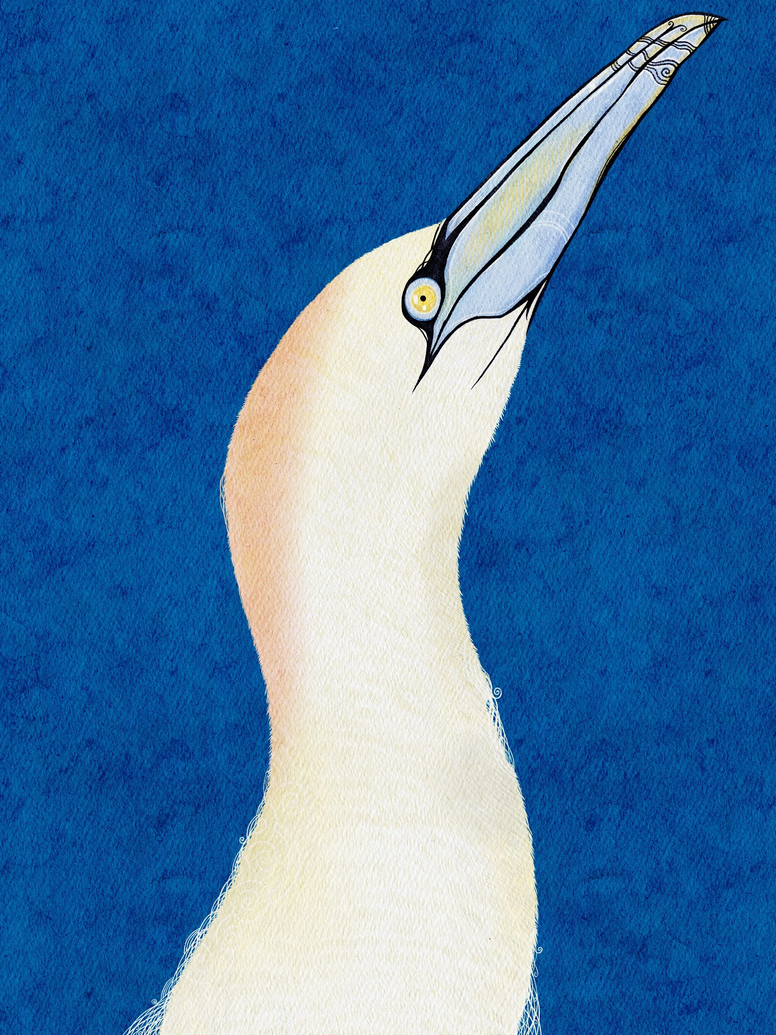 KJ_-_Watercolor_Studio 13.jpg