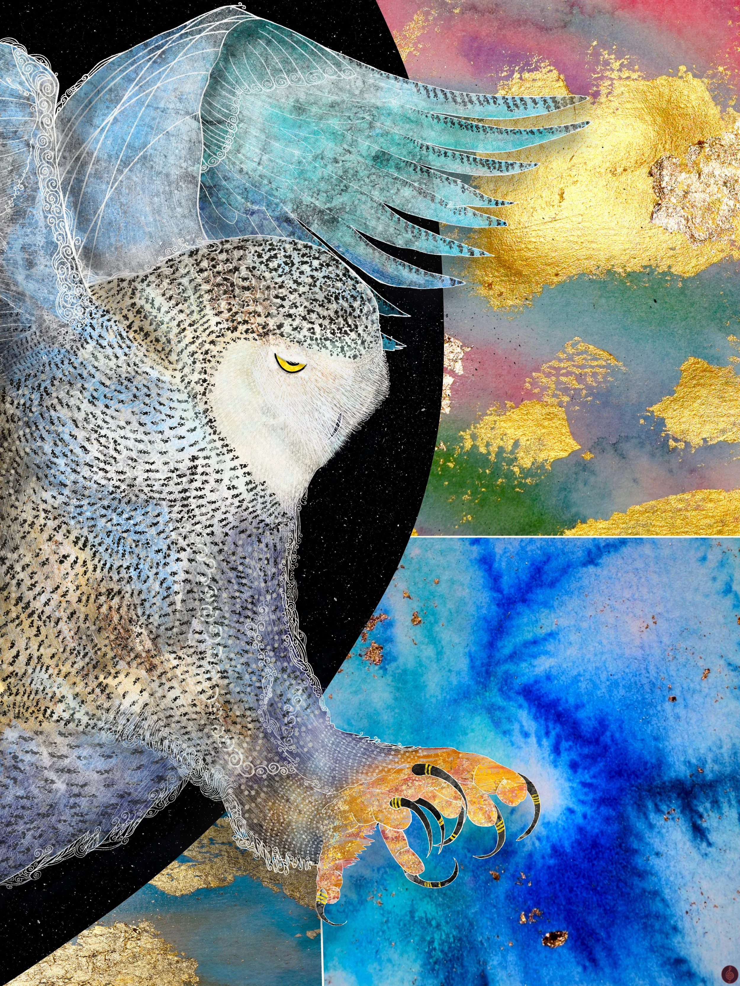 Snowy_Owl.jpg