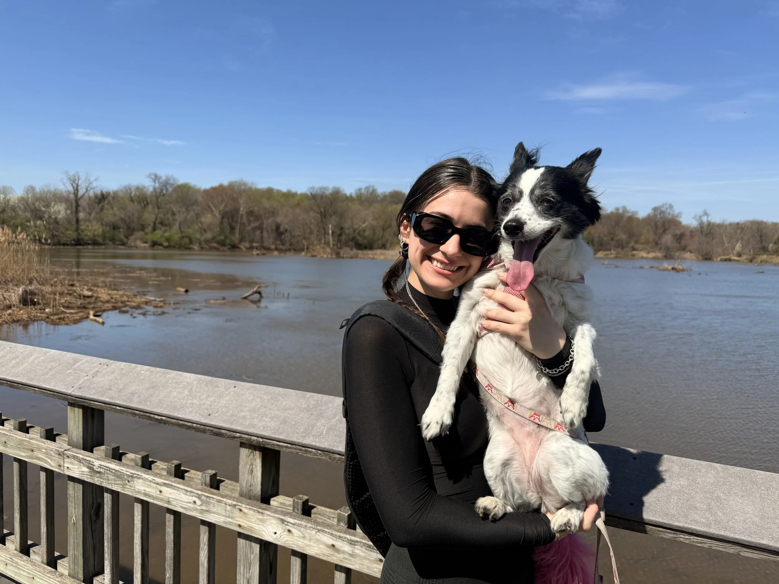 Traveling With a Dog: Washington, D.C. and Northern Virginia