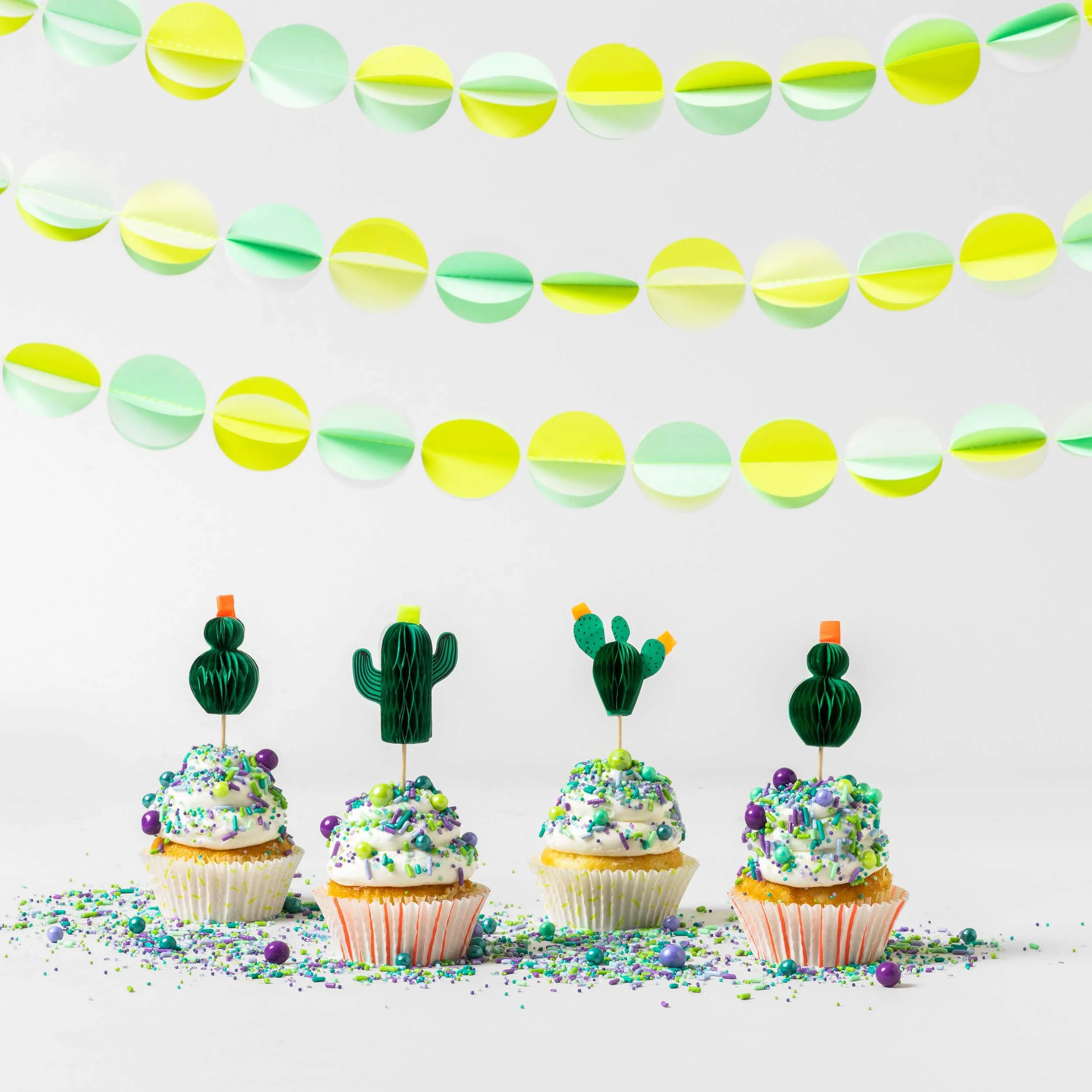 Cactus_BP_Hero_20190726_700836_Cactus-Cupcake-Kit_9476_4798284.jpg