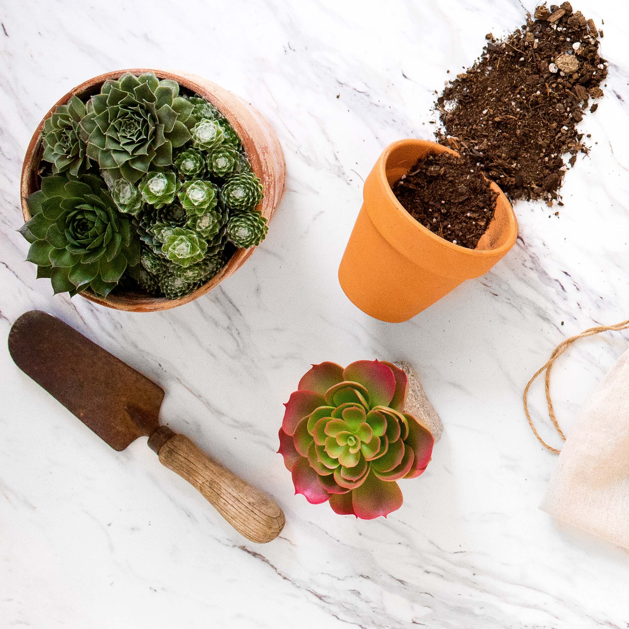 20180706_Social reset_2539_BL.jpg