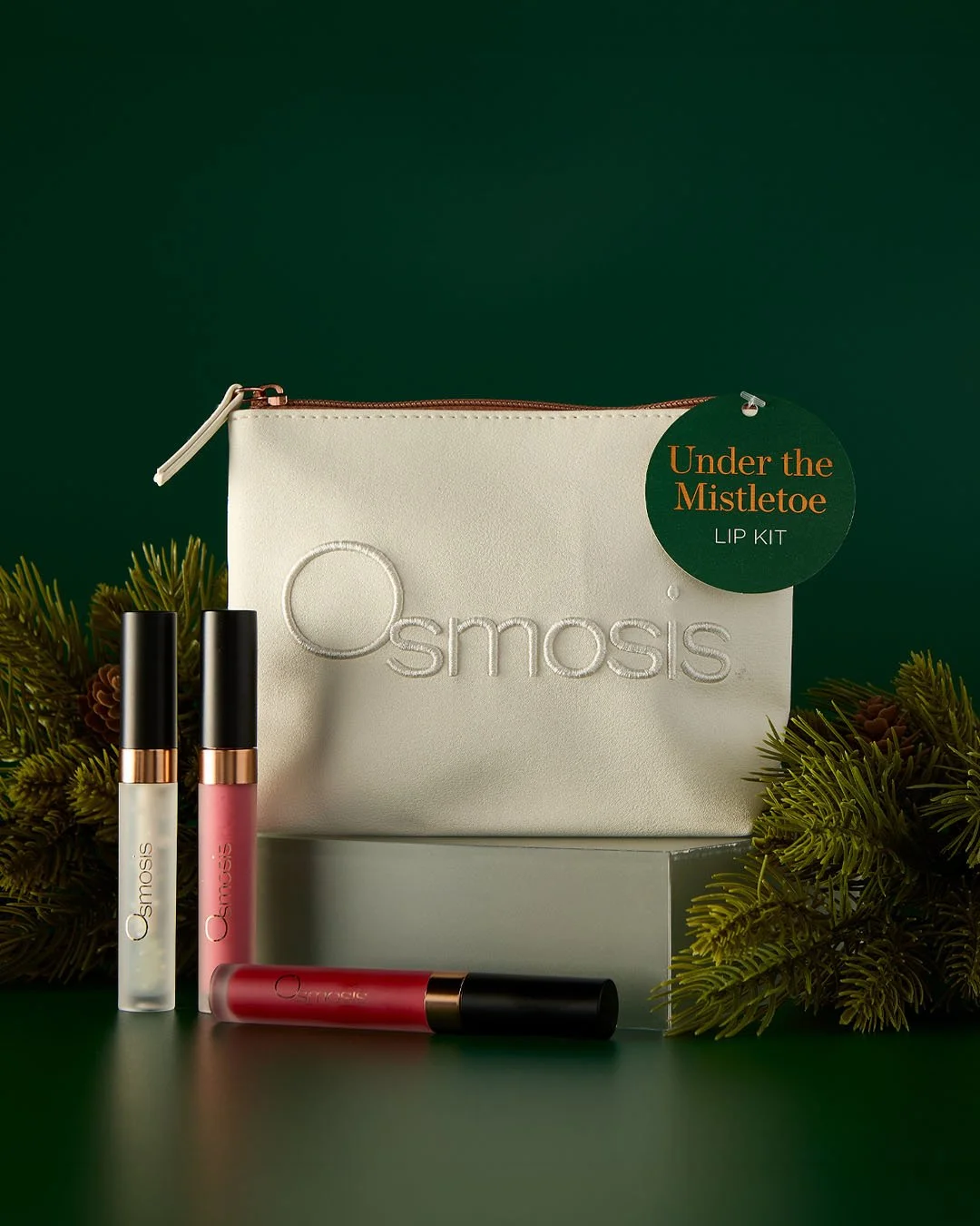Holiday_Evergreen_Social_Under the Mistletoe_NoText_1080x1350.jpg