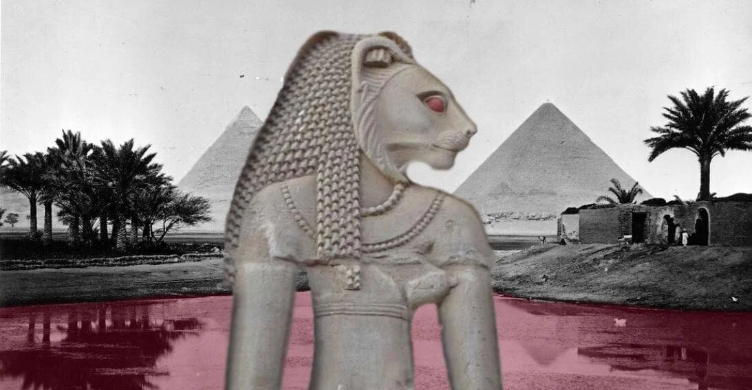 364A9E70-5B71-478A-A571-2794C9CE6ABA