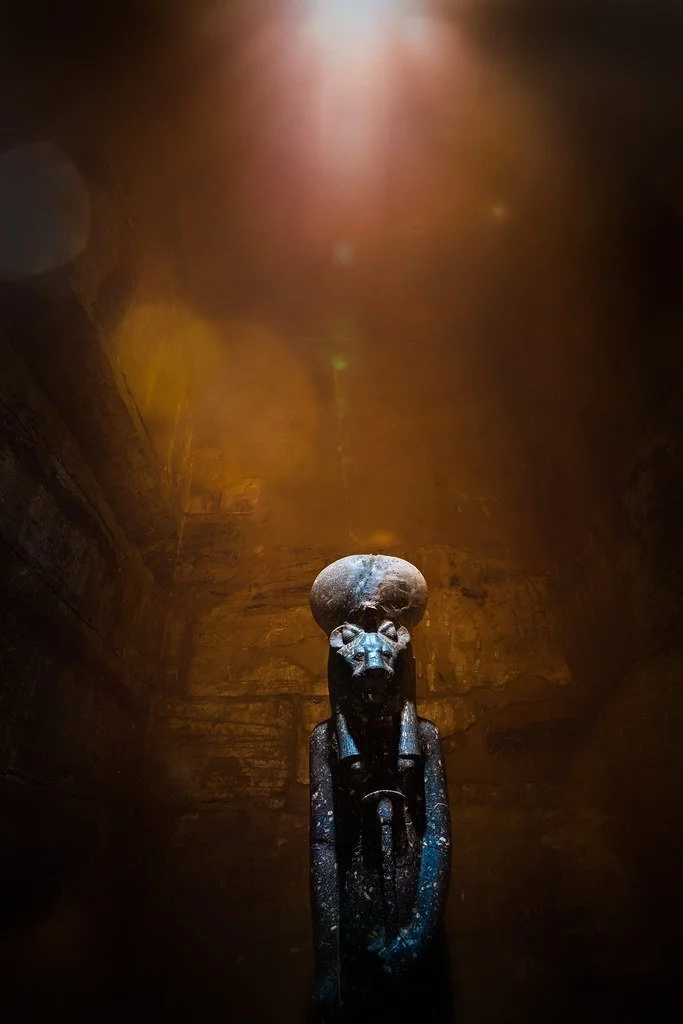 A8C2F50E-0D0E-422B-8053-20281D4C5634