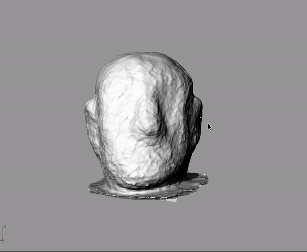  3D scan of the entire surface that documents the topography      