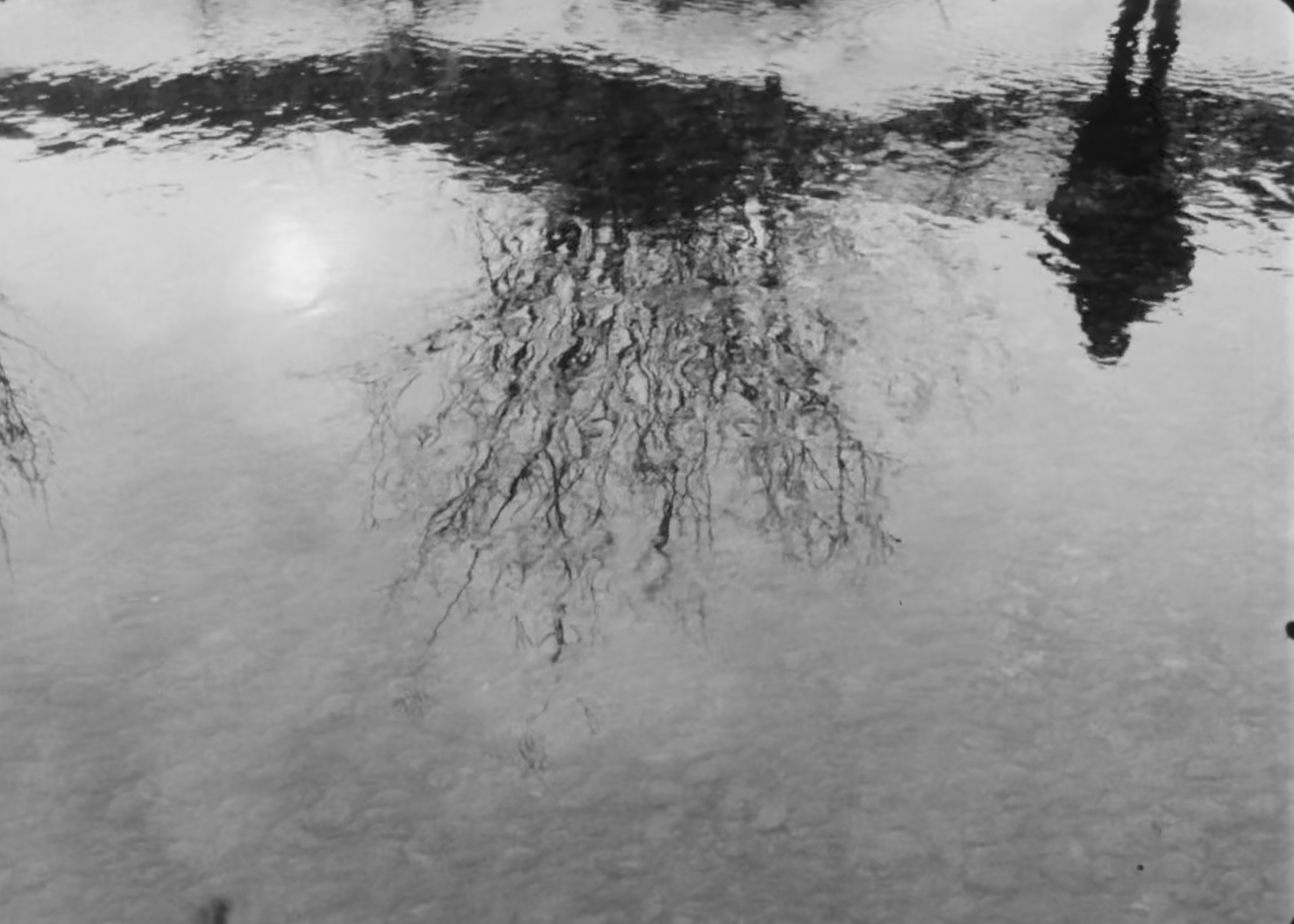 Beta Structure Space