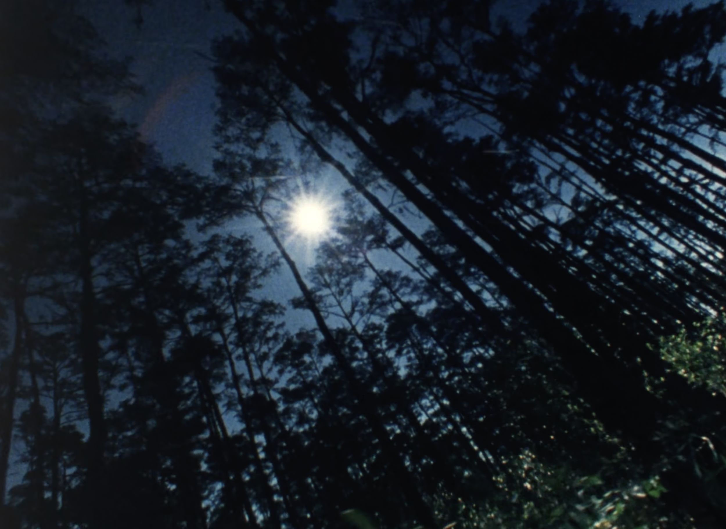 Wilderness: A Country in The Mind (1984)