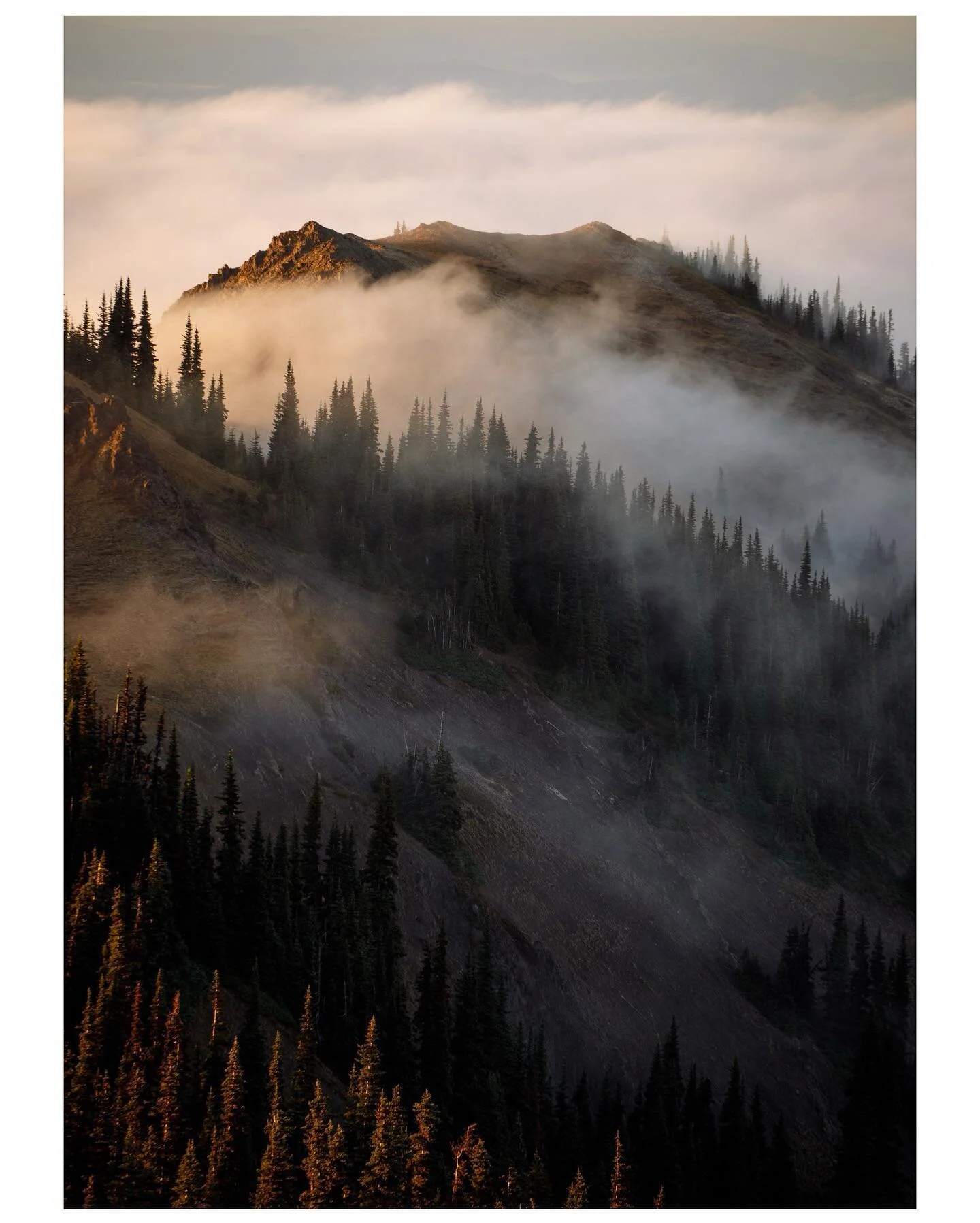 Gifts from Mother Nature.