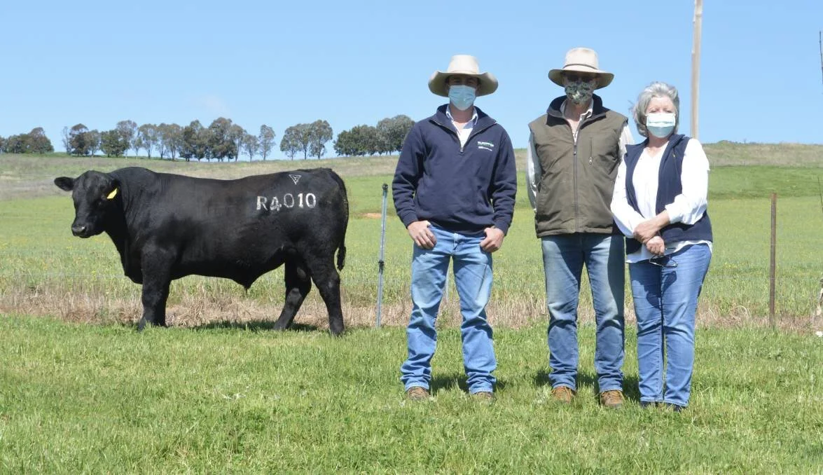 Lawsons Angus ‘ROCKY’ sets Australian Yearling RECORD