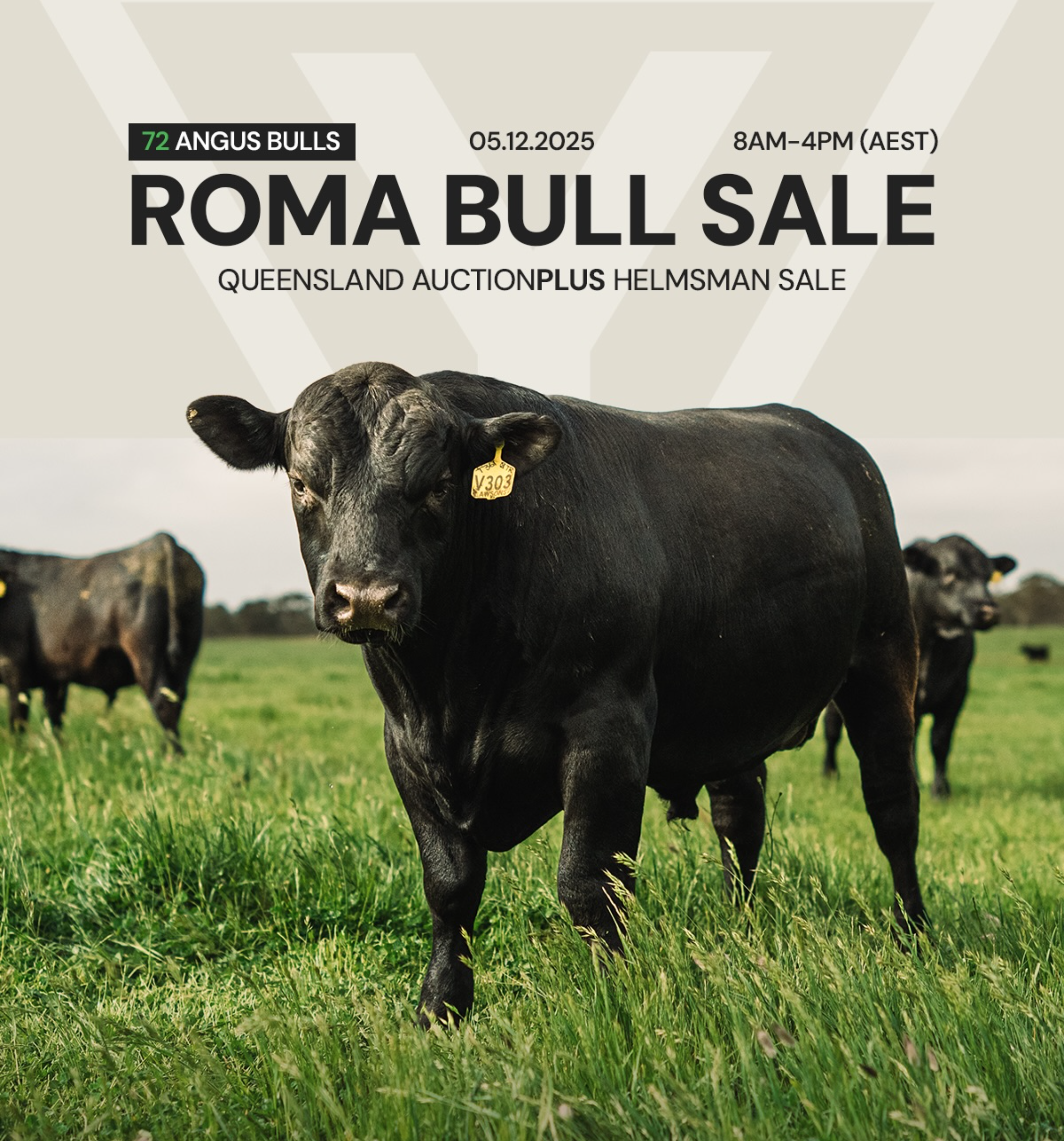2025 AuctionsPlus QLD Sale