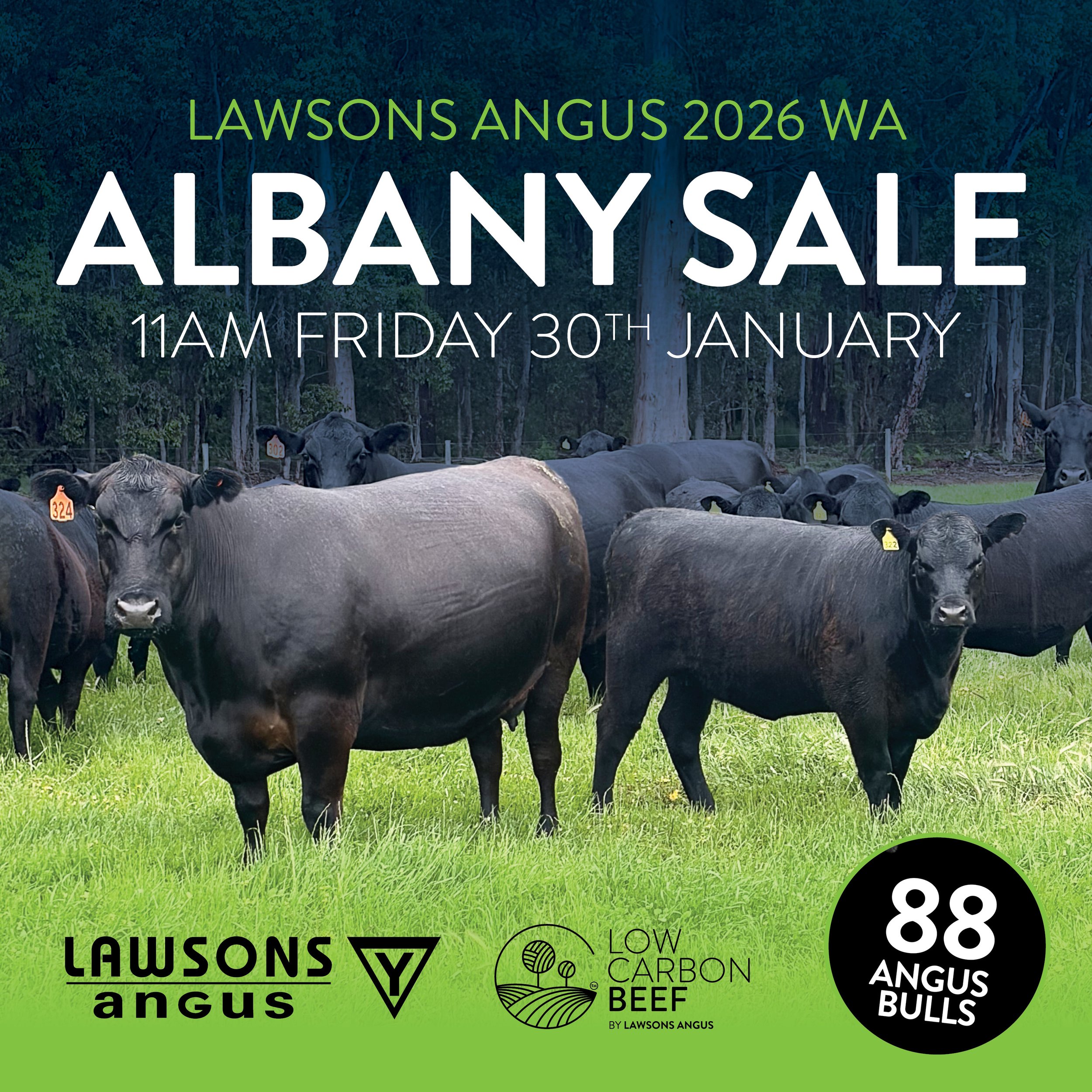 2026 Lawsons Angus WA ALBANY SALE
