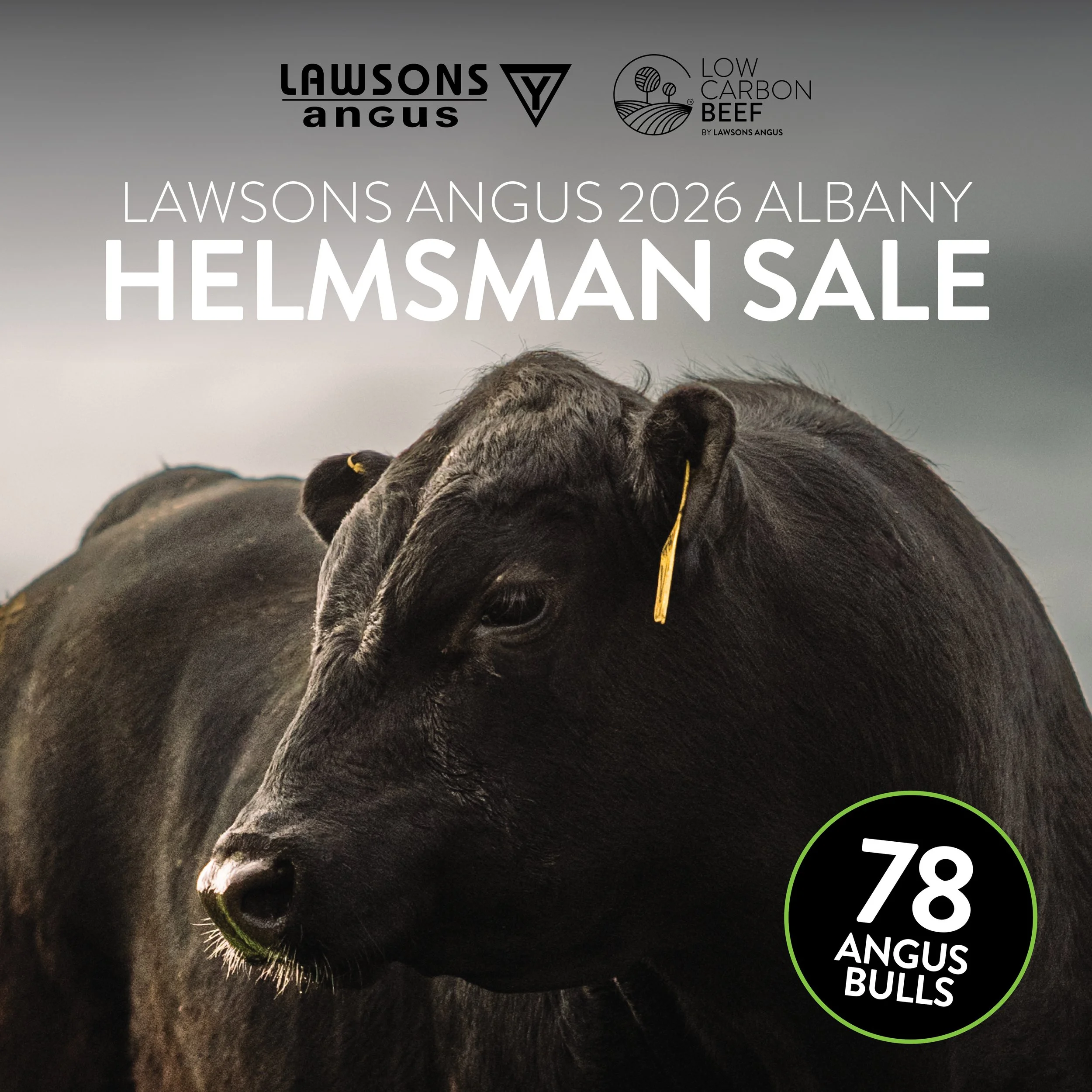 2026 Lawsons Angus WA Albany Sale!