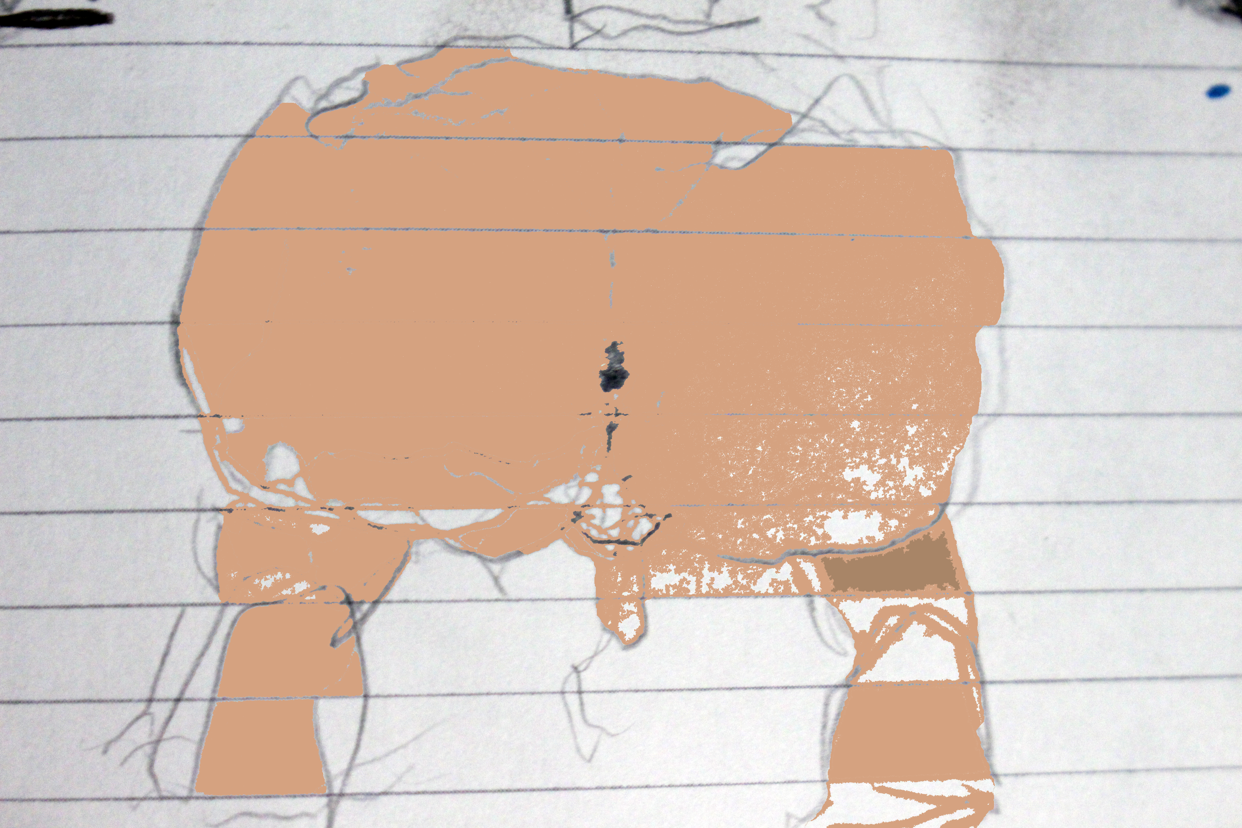 IMG_7331.png