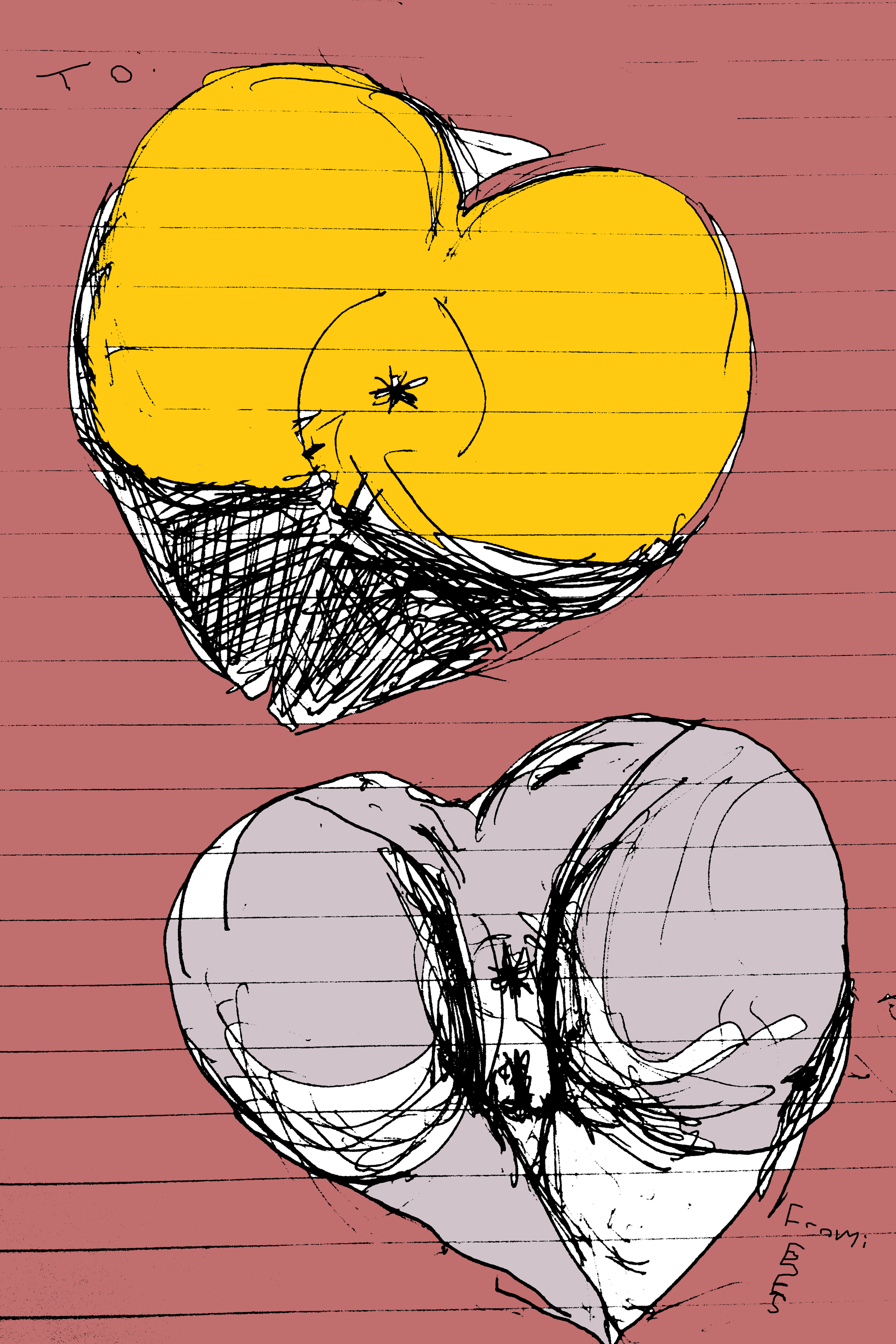 IMG_7435t.png